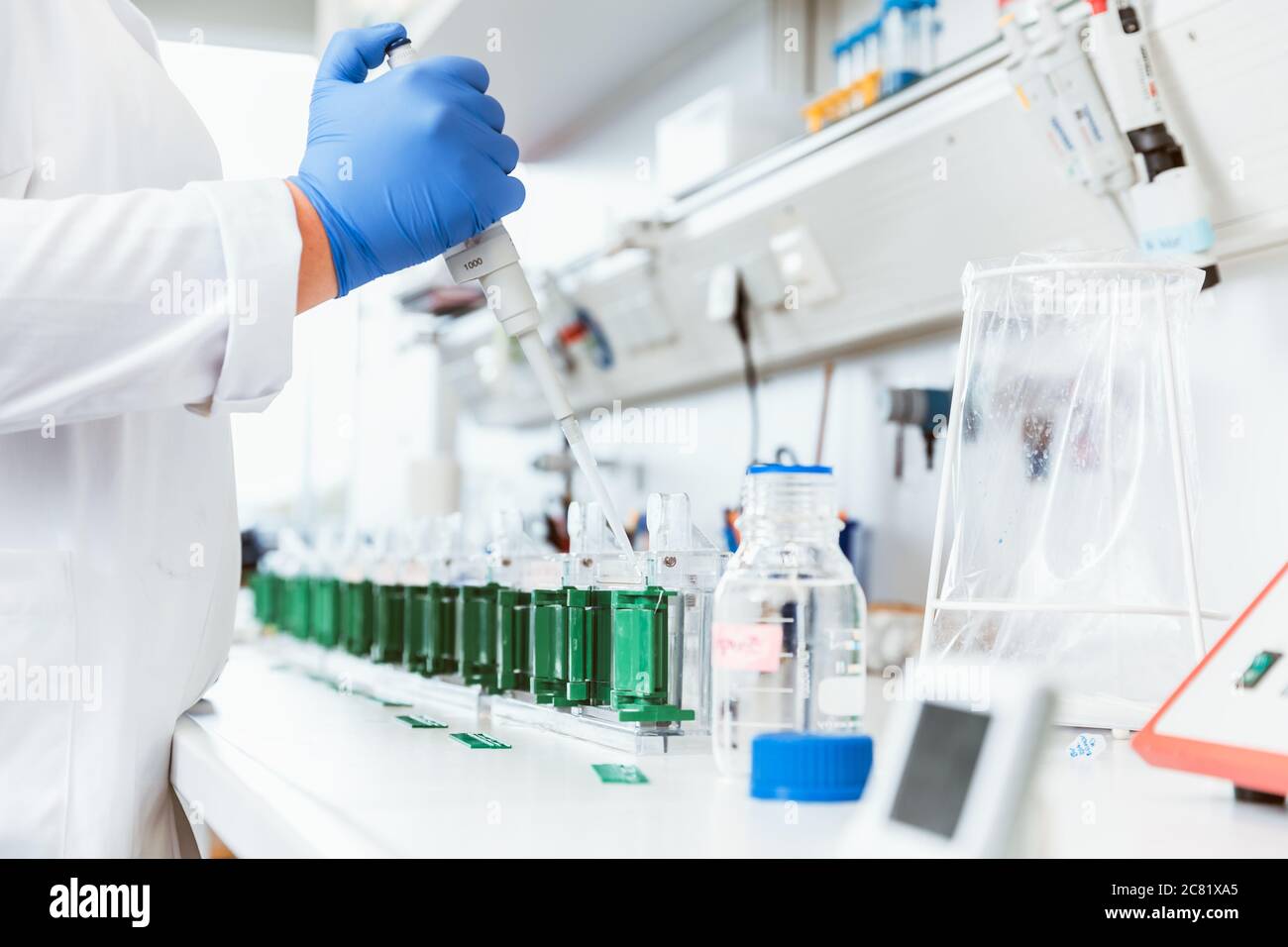 Rimozione di liquidi da parte di scienziati per il campionamento Foto Stock