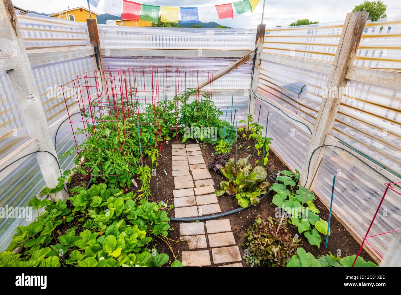 Bandiere buddiste di preghiera volano sopra l'orto residenziale di inizio estate. Foto Stock