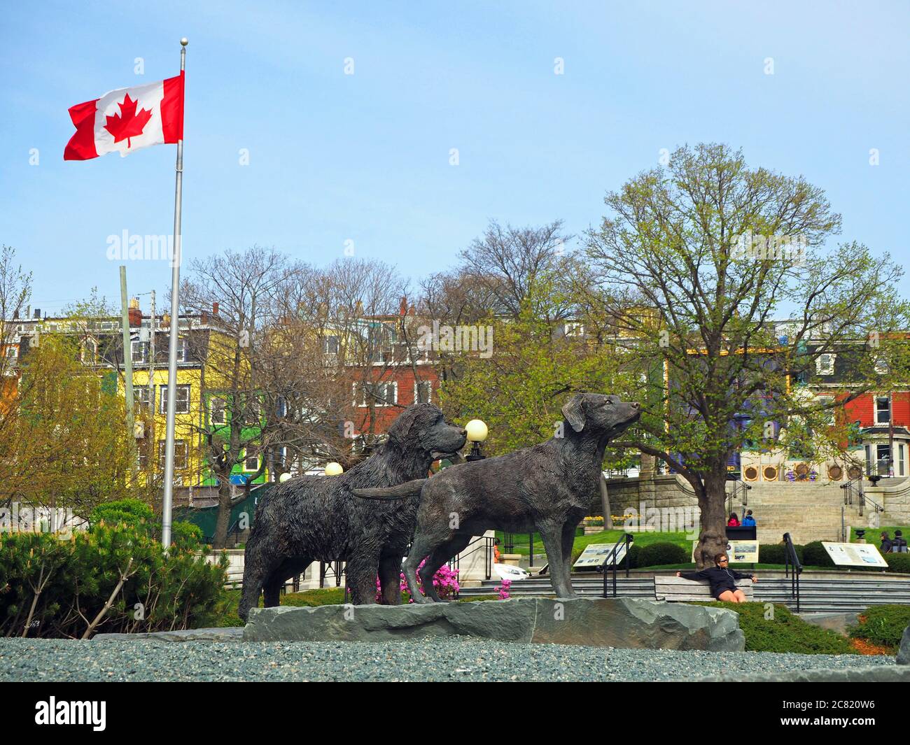 Terranova e la statua del cane Labrador, Harbourside Park, St John's, Terranova, Terranova e Labrador, Canada Foto Stock