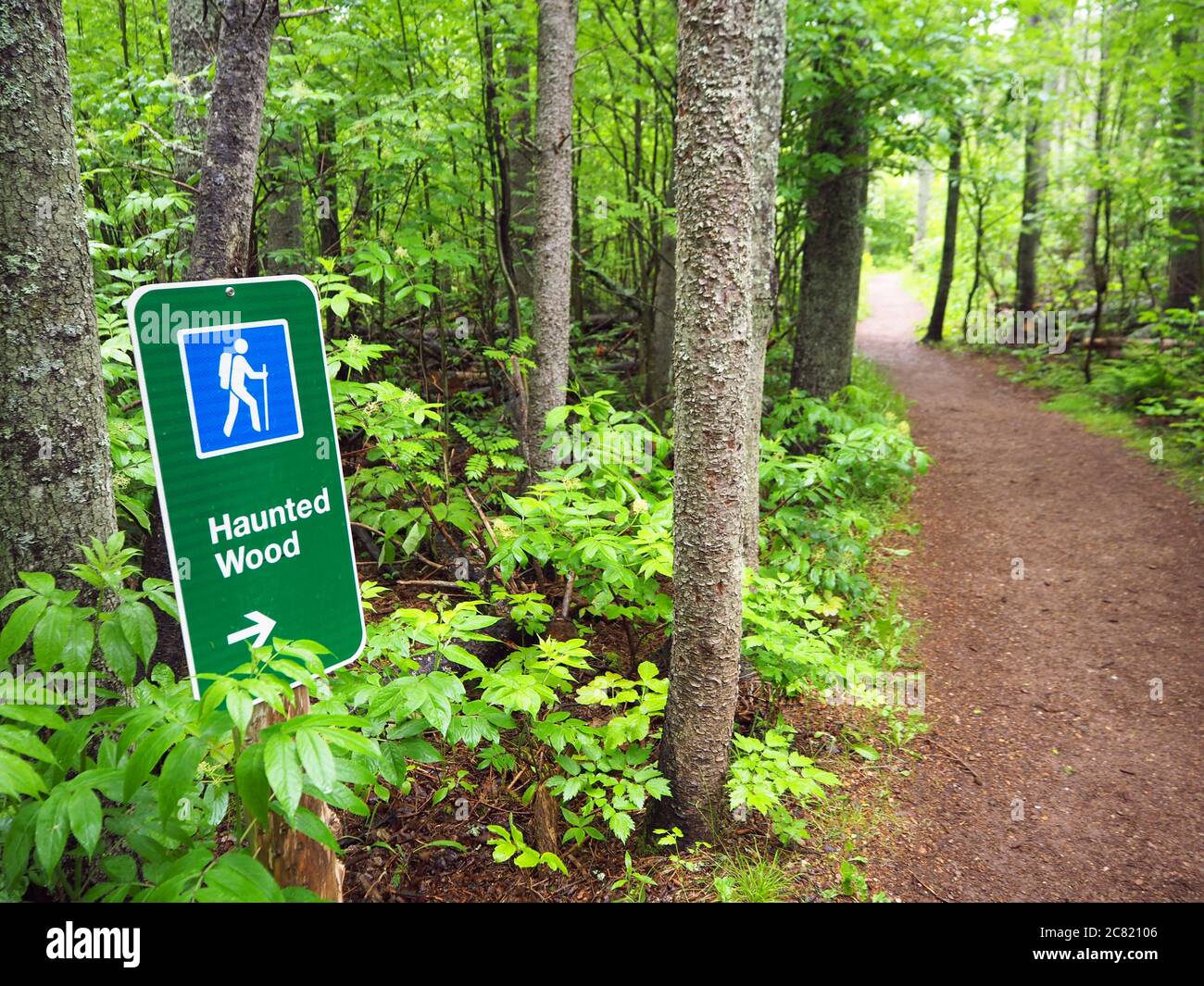 Cartello di legno infestato, Green Gables, Cavendish, North rustico, Prince Edward Island, Canada Foto Stock