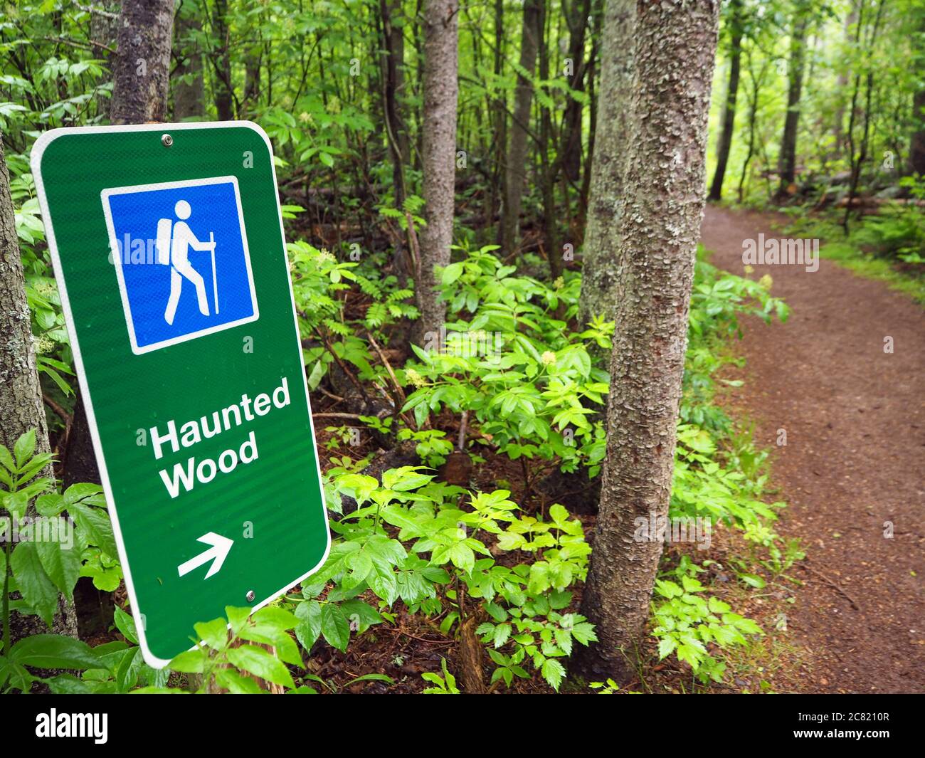 Cartello di legno infestato, Green Gables, Cavendish, North rustico, Prince Edward Island, Canada Foto Stock