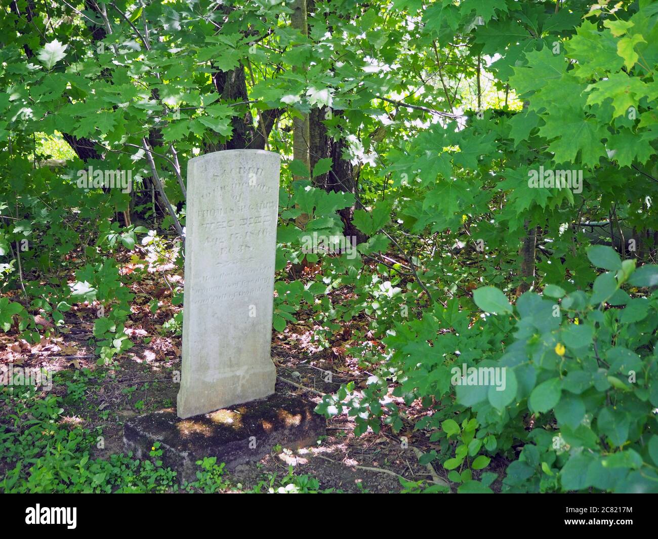 Tomba storica presso i luoghi di sepoltura degli United Empire Loyalist, St. Stephen, New Brunswick, Canada Foto Stock