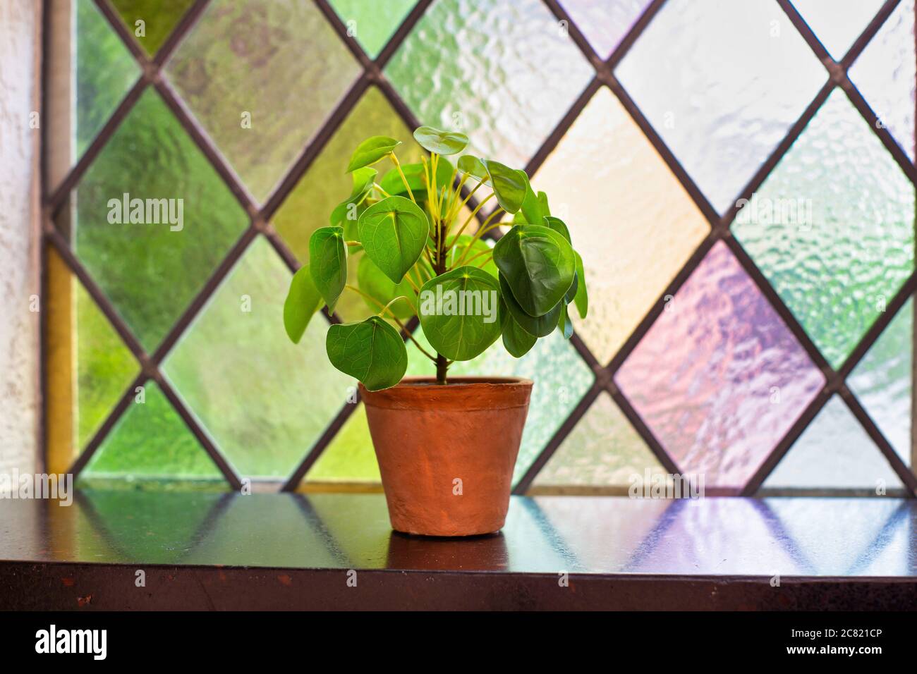 Pilea peperomioides, money pianta o pancake pianta Casa moderna interno su davanzale, finestra con vetro colorato, design retrò Foto Stock