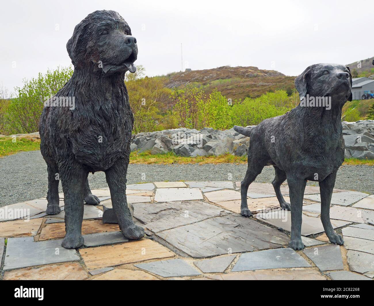 Terranova e Labrador statue di cani, St Johns, Terranova, Canada Foto Stock