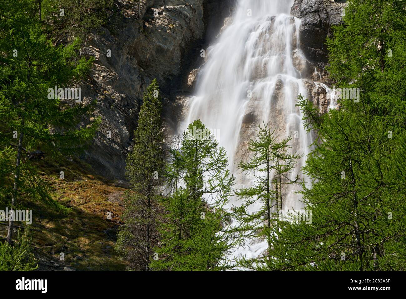 Cascata la Pisse in estate nel Parco Naturale Regionale del Queyras. Ceillac, Alte Alpi, Alpi, Francia Foto Stock