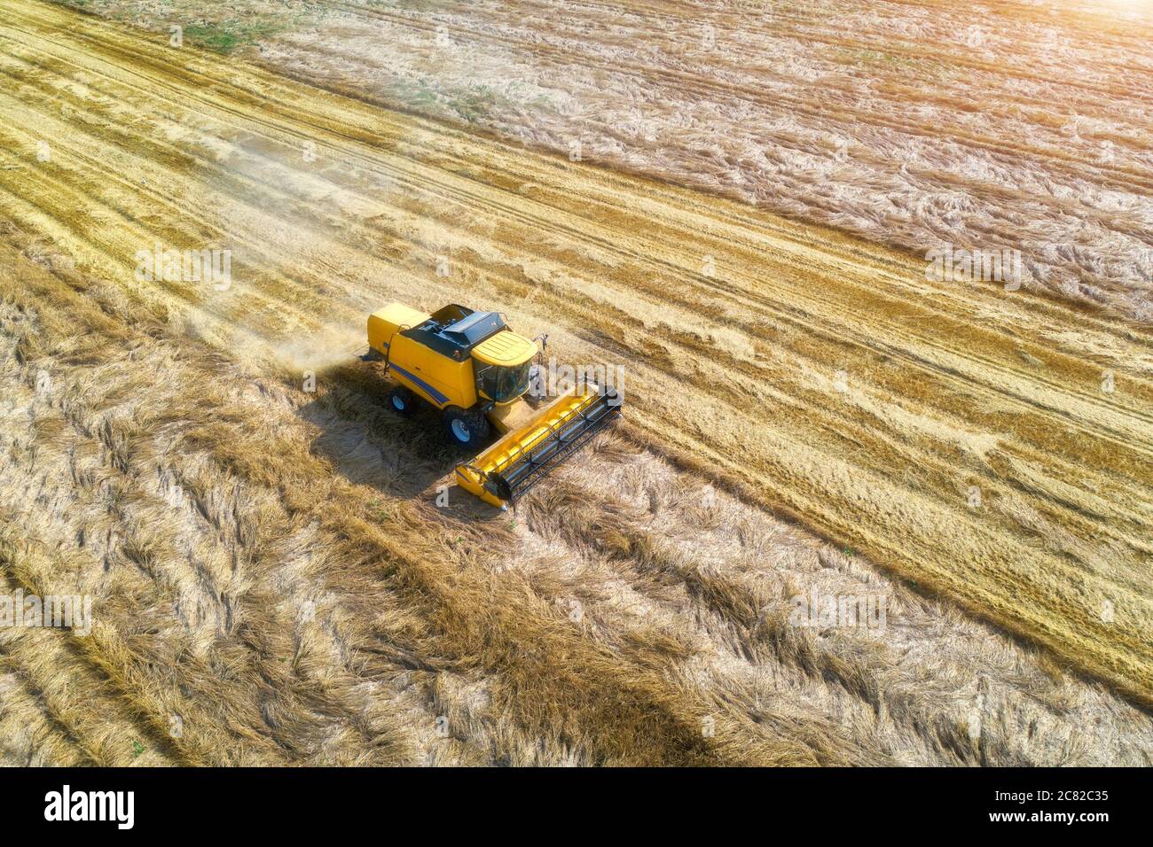 La vista aerea della mietitrebbia sta raccogliendo grano in estate Foto Stock