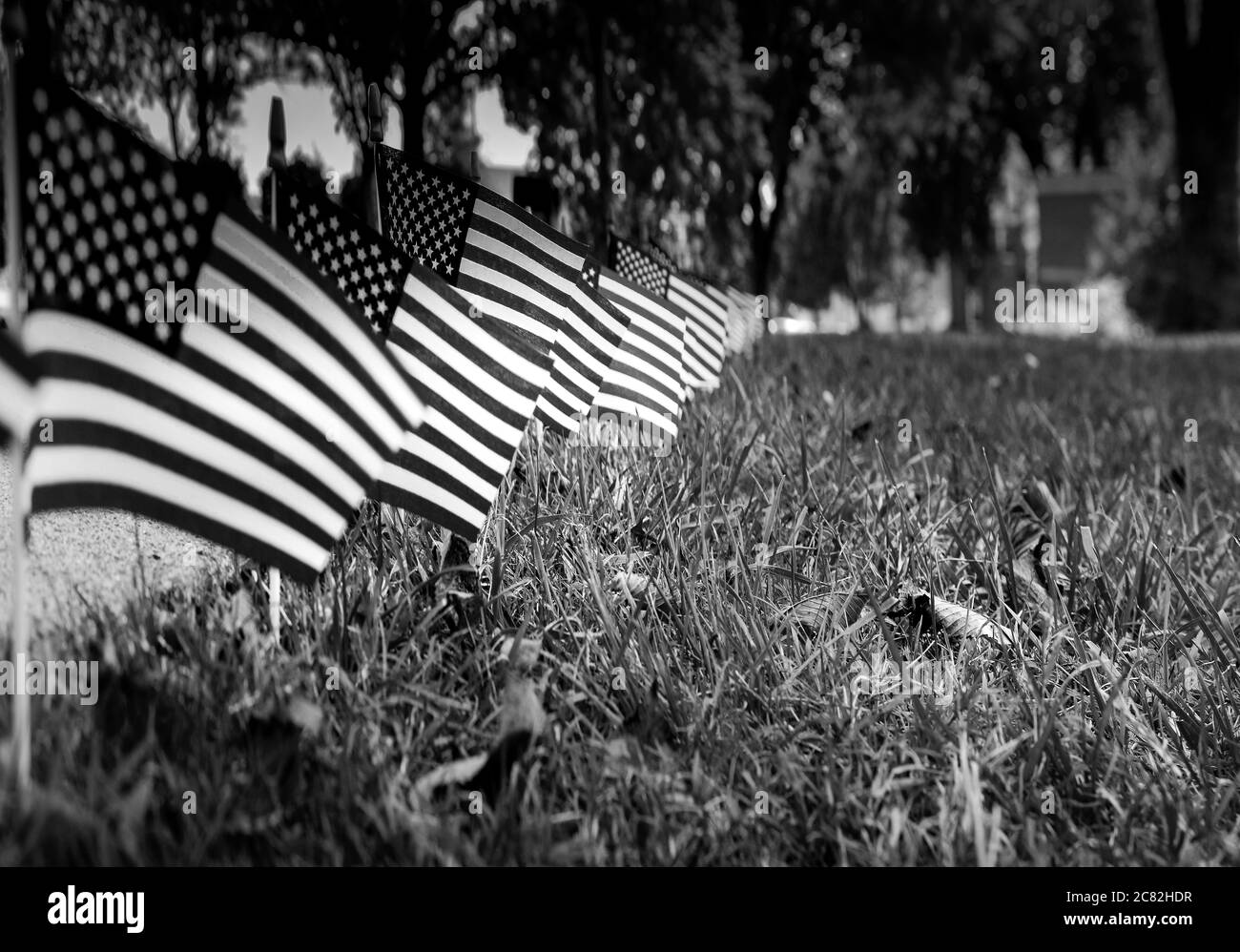 Una vista a fuoco selezionato, ad angolo basso di una visualizzazione a bordo strada di bandiere americane in miniatura in erba, in un display patriottico negli Stati Uniti, in bianco e nero Foto Stock