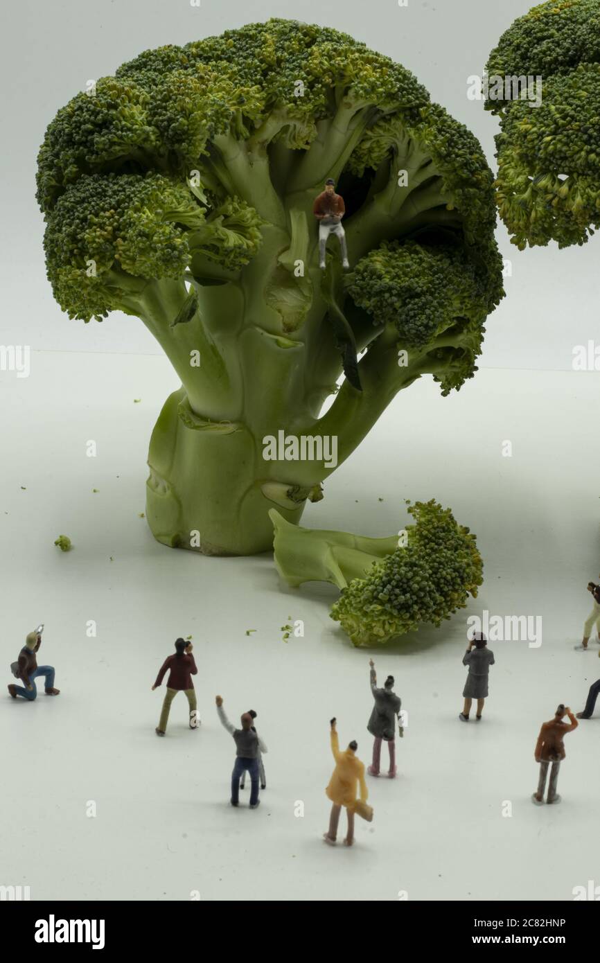 Modello in scala di personaggi in miniatura che guardano un uomo in miniatura seduto su un broccoli Foto Stock