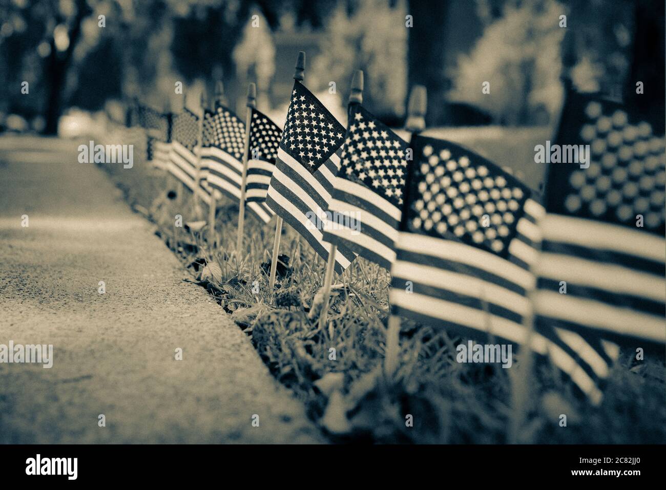 Una vista a fuoco selezionato, con angolo basso di una visualizzazione di bandiere americane in miniatura nell'erba, in una visualizzazione patriottica negli Stati Uniti in tono split Foto Stock