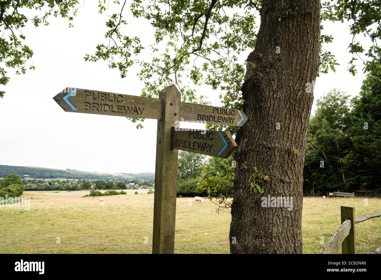 Cartello in legno all'incrocio di due strade pubbliche che indica 'strada statale' con un albero di querce e campo agricolo dietro. REGNO UNITO Foto Stock