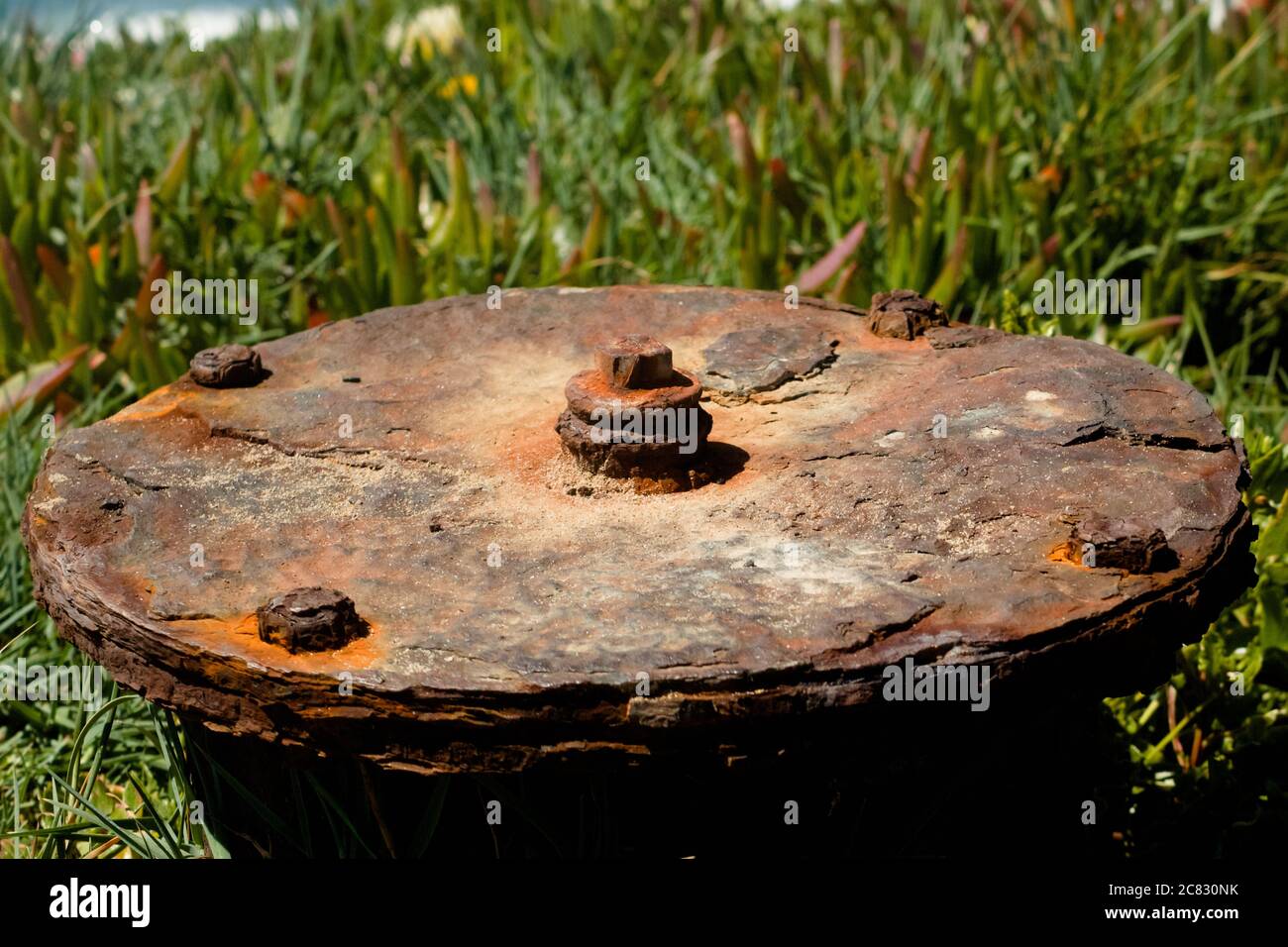 Fuoco selettivo di una vecchia miniera anti-serbatoio arrugginita sotto la luce del sole tra il verde Foto Stock