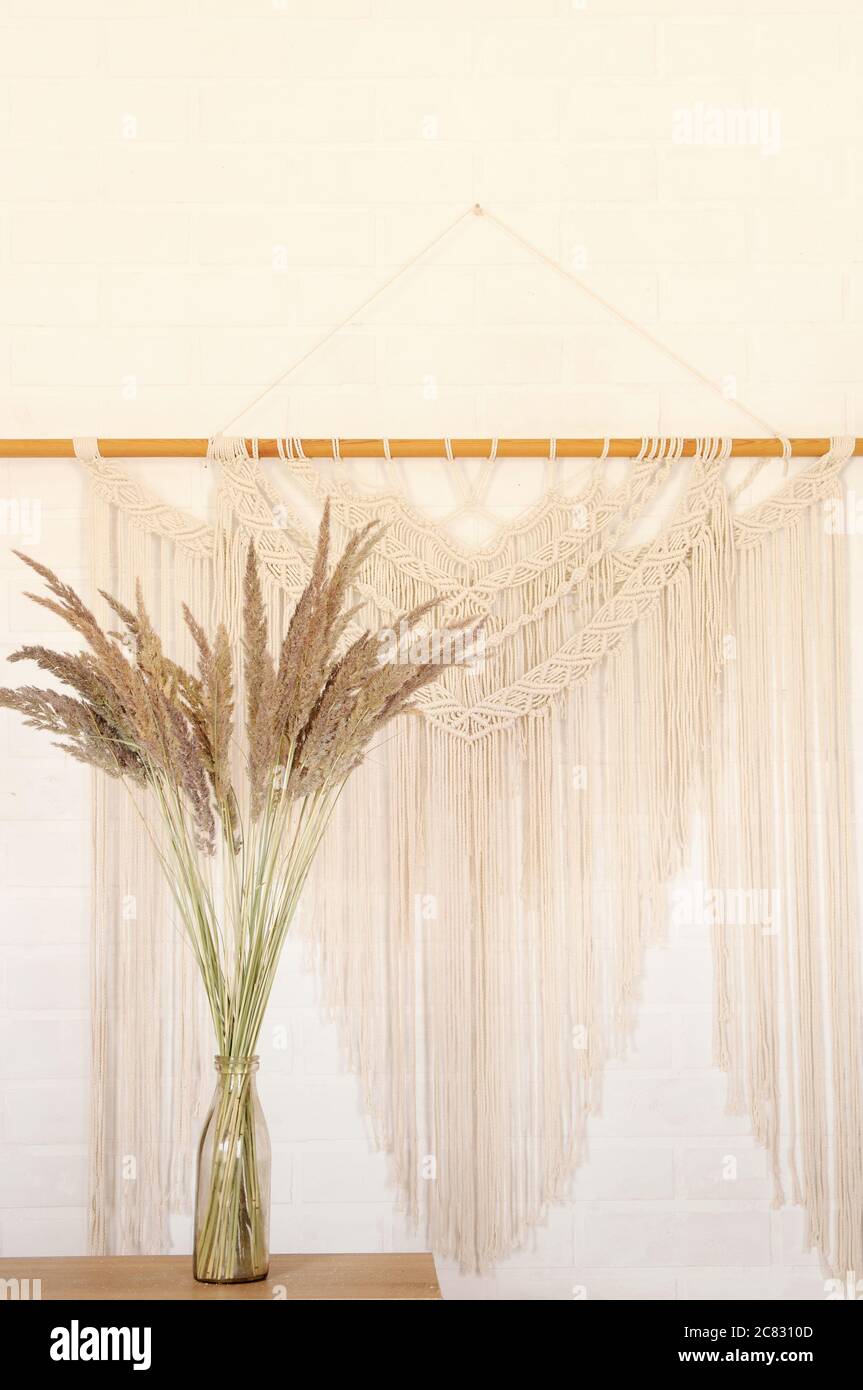 Reed beige contro una parete bianca con un pannello di parete in macrame. Un concetto minimalista, elegante e alla moda con uno sfondo splendido con colori neutri chiari. Foto Stock