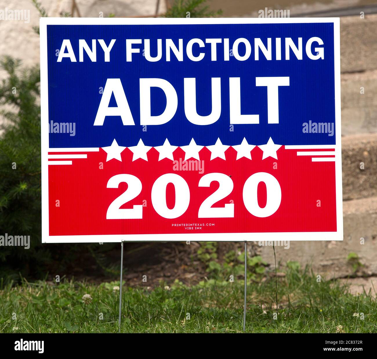 Un cantiere politico americano sarcastico che dichiara tutto l'adulto funzionante in 2020 per le elezioni locali, dello stato e presidenziali Foto Stock