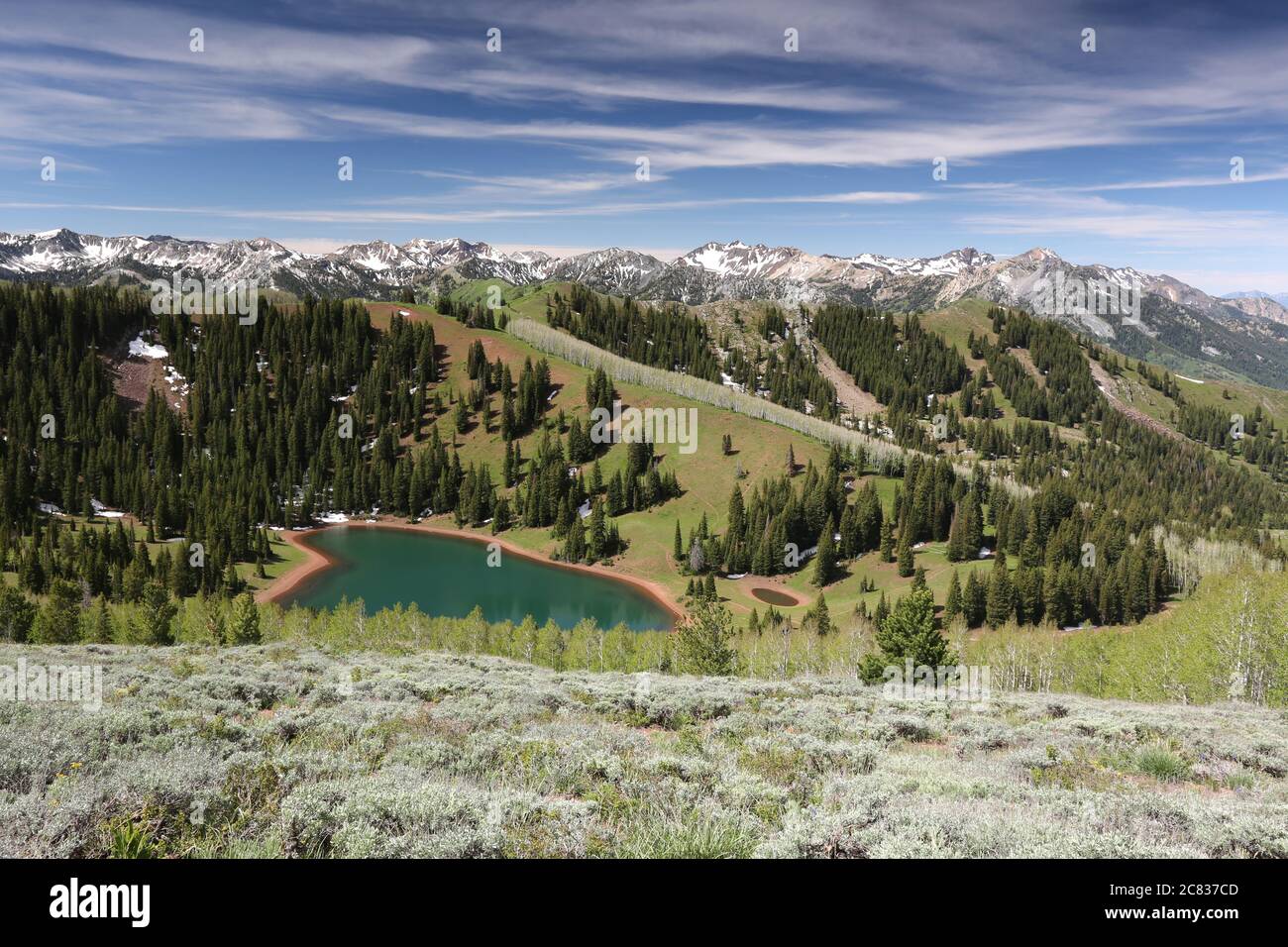 Lago Desolation, Big Cottonwood Canyon, Utah Foto Stock