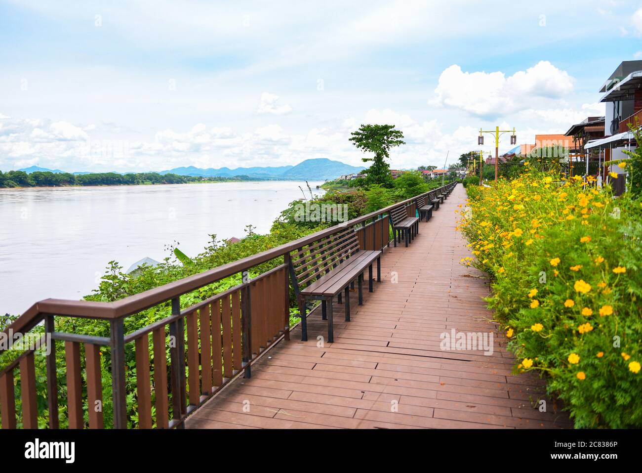 Panchina di legno lungo il fiume parco con fiore giallo e cielo blu / fiume Mekong Chiang Khan Loei Thailandia Foto Stock