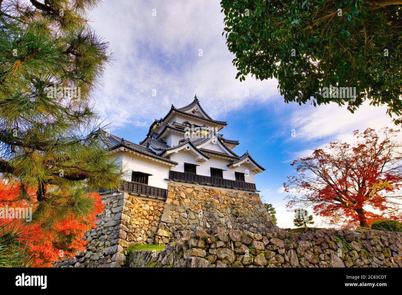 Bel cielo durante la stagione autunnale delle foglie al Castello di Hikone, Prefettura di Shiga Giappone. Foto Stock