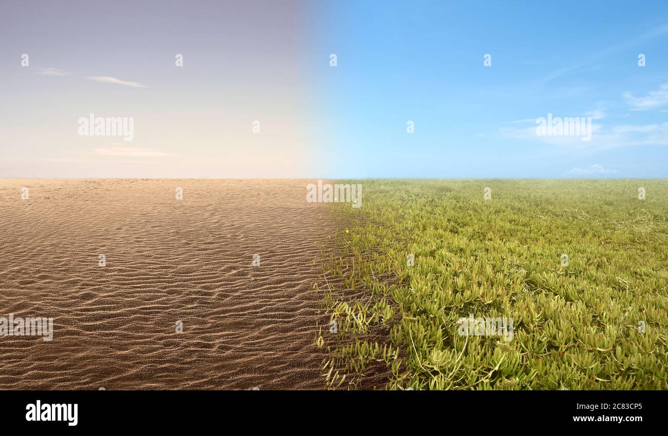 La differenza dal terreno di siccità e terreno fertile sul campo. Concetto di cambiamento dell'ambiente Foto Stock