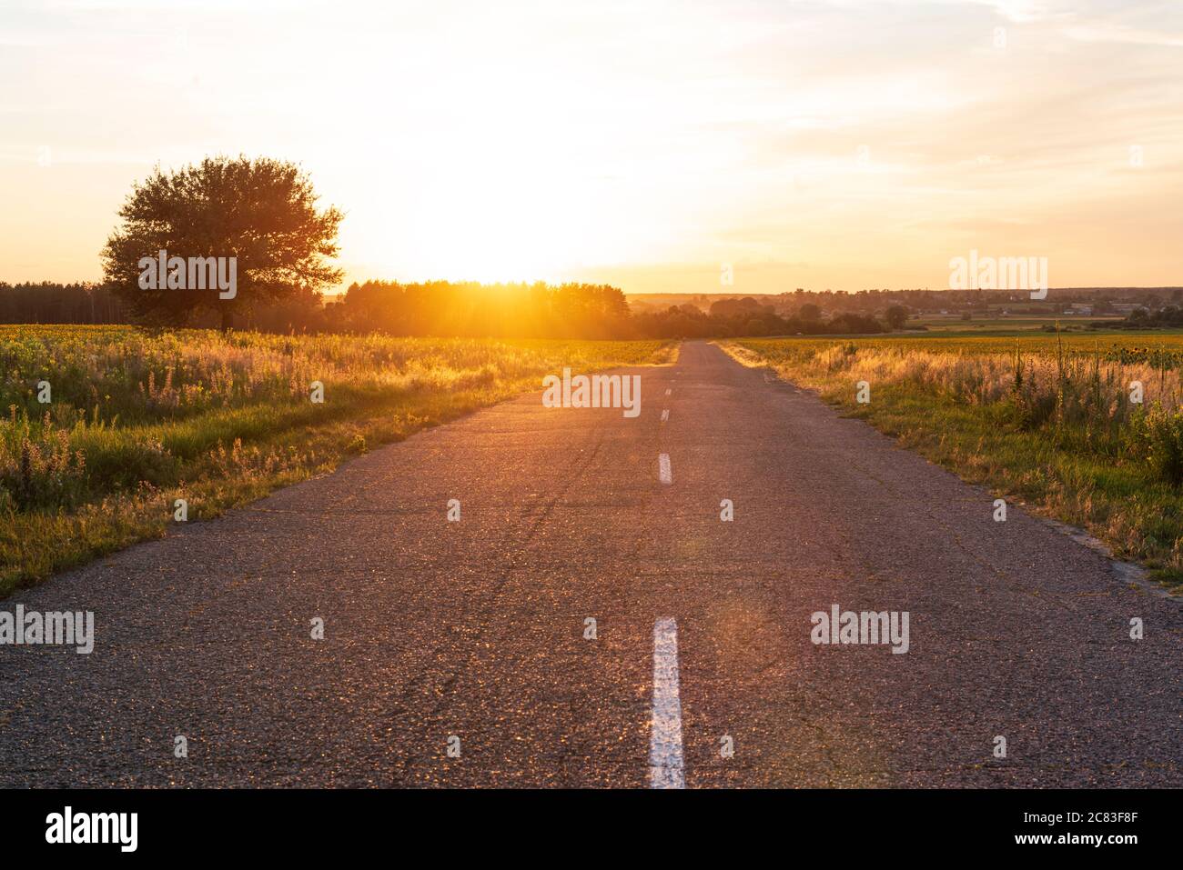 Bella strada di campagna. Strada asfaltata dritta con tramonto sole in campagna Foto Stock