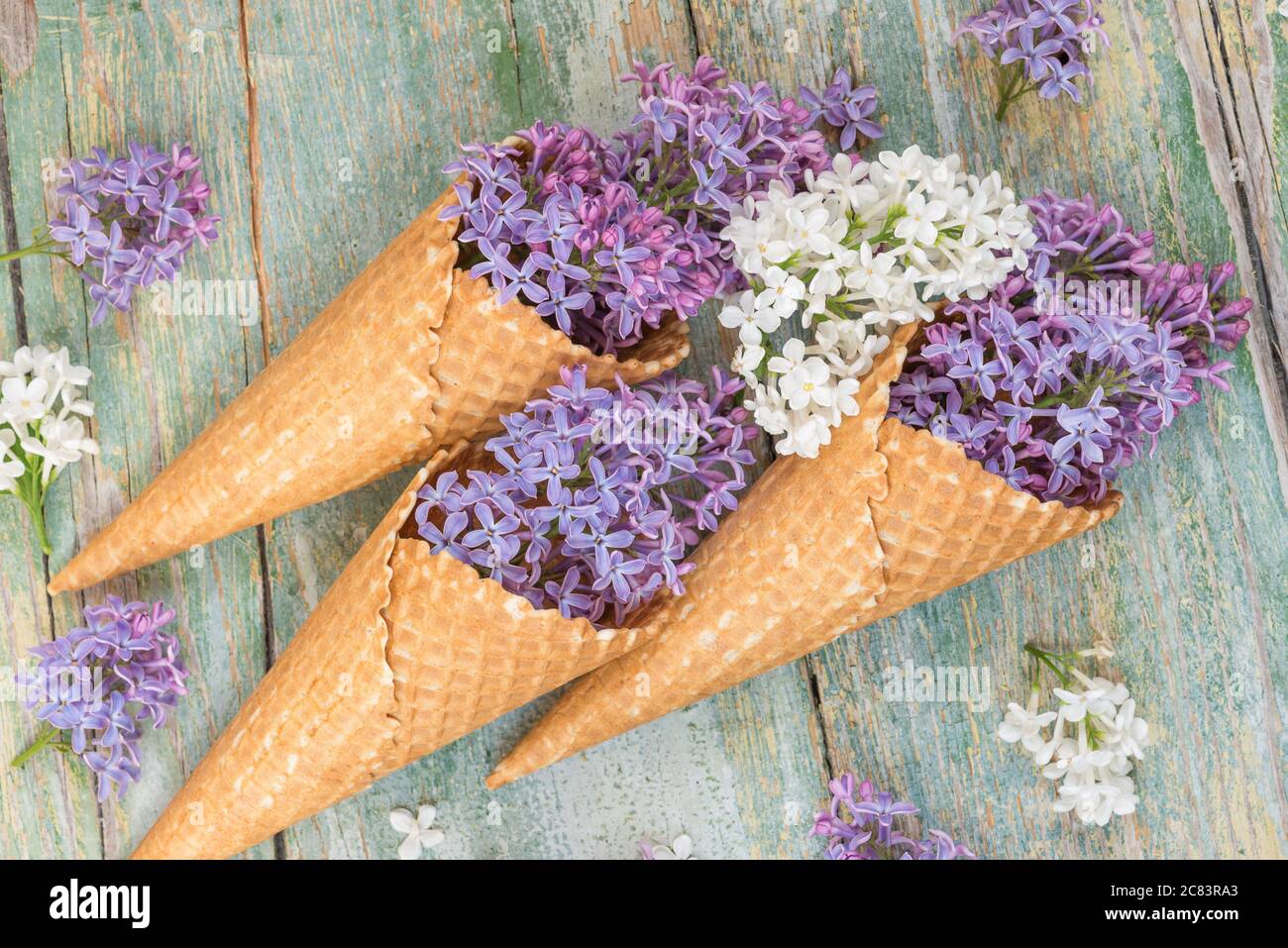 Primavera ancora vita con fiori viola e bianco lilla in coni waffle come gelato sullo sfondo di vecchie tavole blu Foto Stock