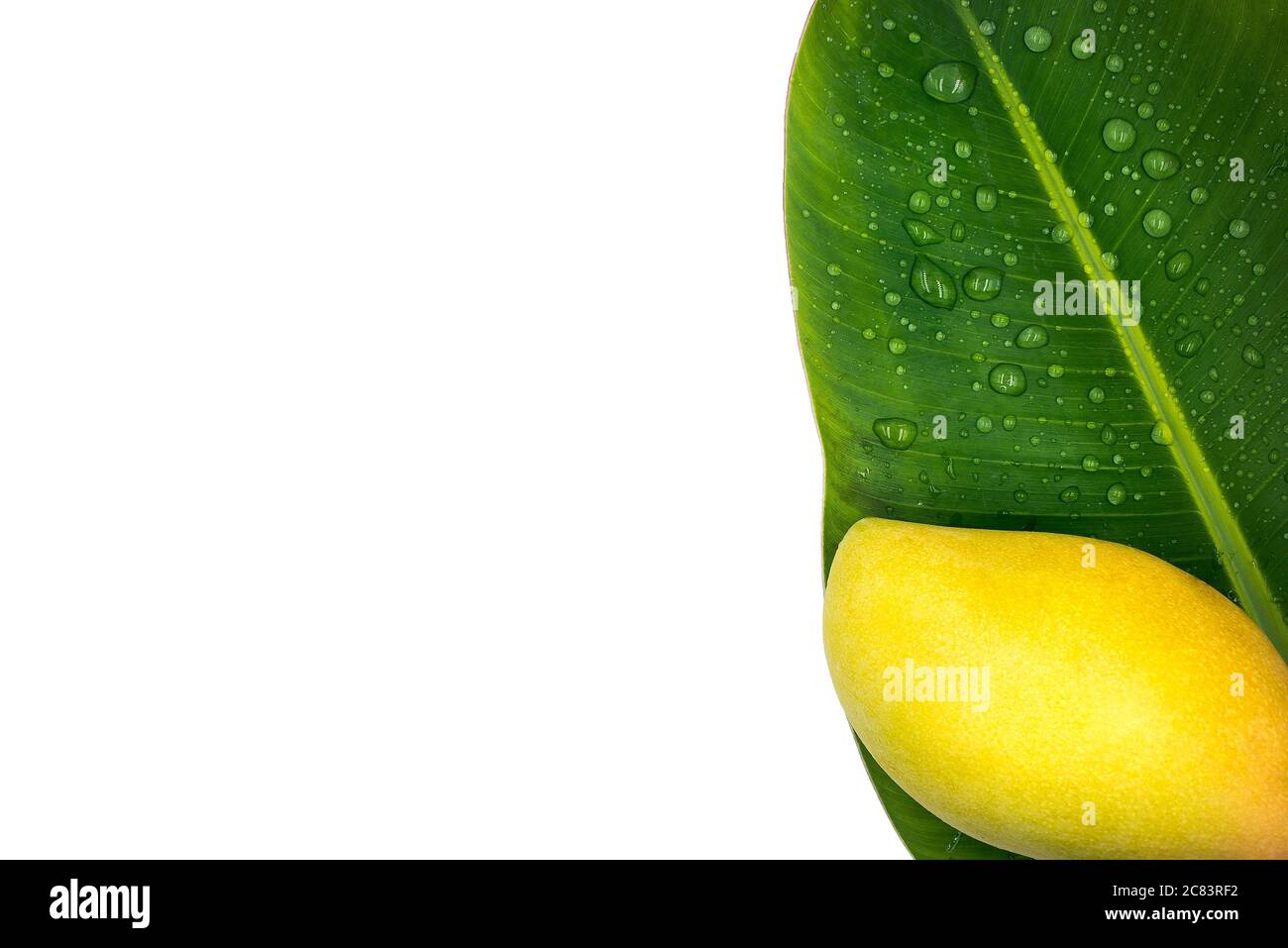 Frutta di mango su una foglia di banana isolata su sfondo bianco. Foto Stock