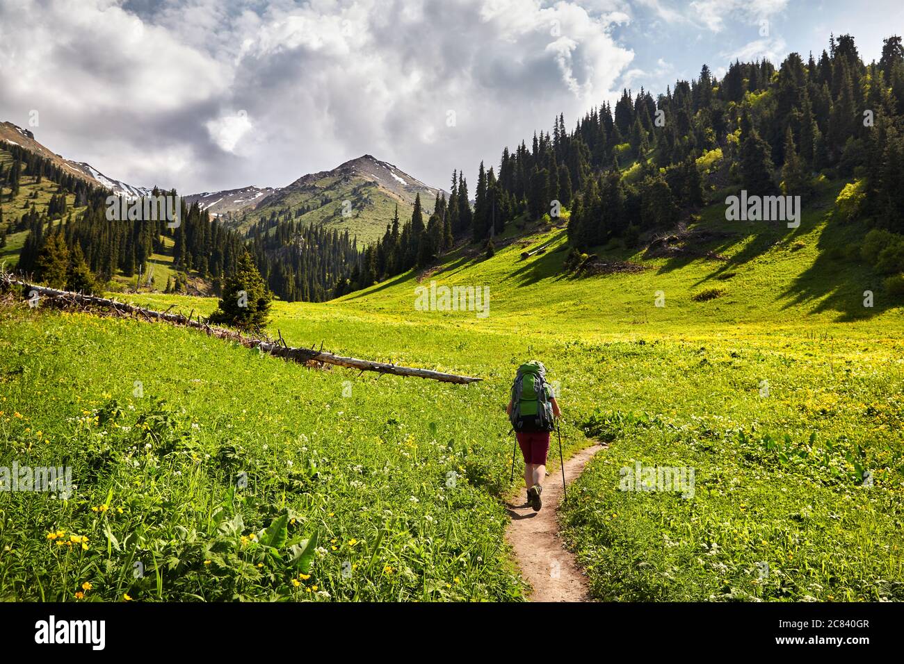Donna turistica con zaino è a piedi nella verde valle di montagna con cime innevate e cielo nuvoloso sfondo Foto Stock