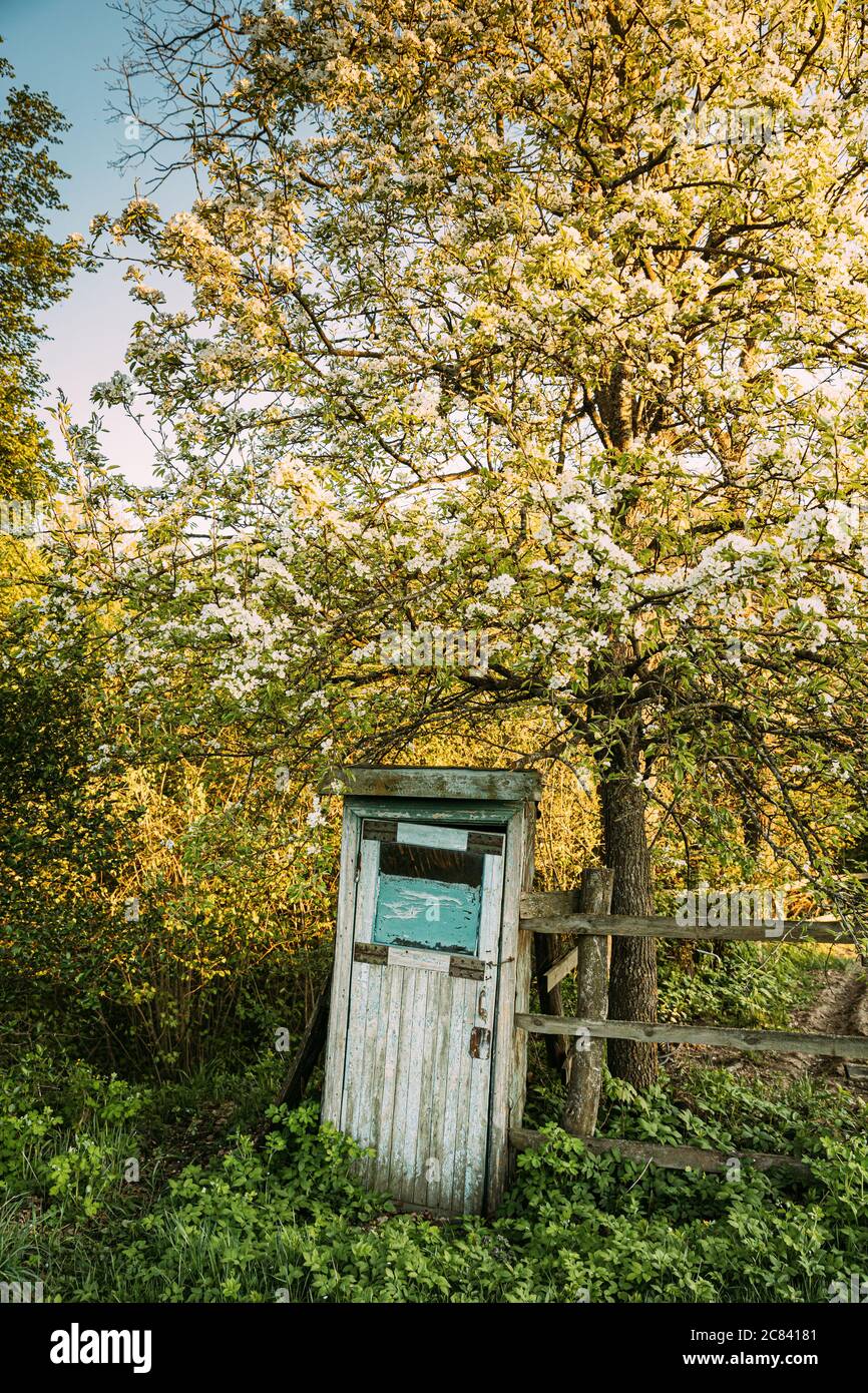 Cabina di Old Wooden Country toilet in Primavera Foto Stock
