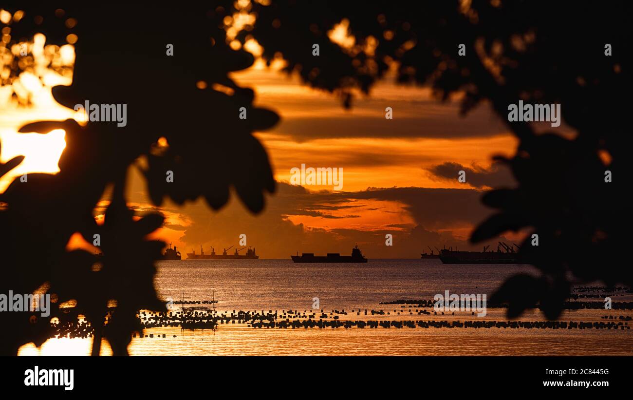 Naviga in mare sotto il bellissimo cielo arancione al tramonto e silhouette albero in primo piano. Foto Stock