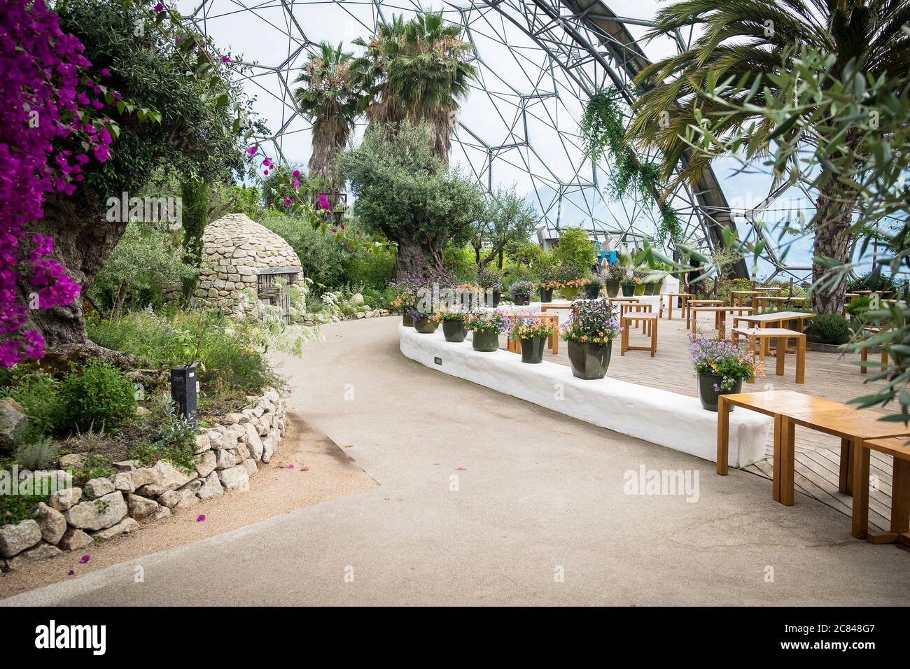 L'interno del Biome Mediterraneo al complesso di progetto Eden in Cornovaglia. Foto Stock