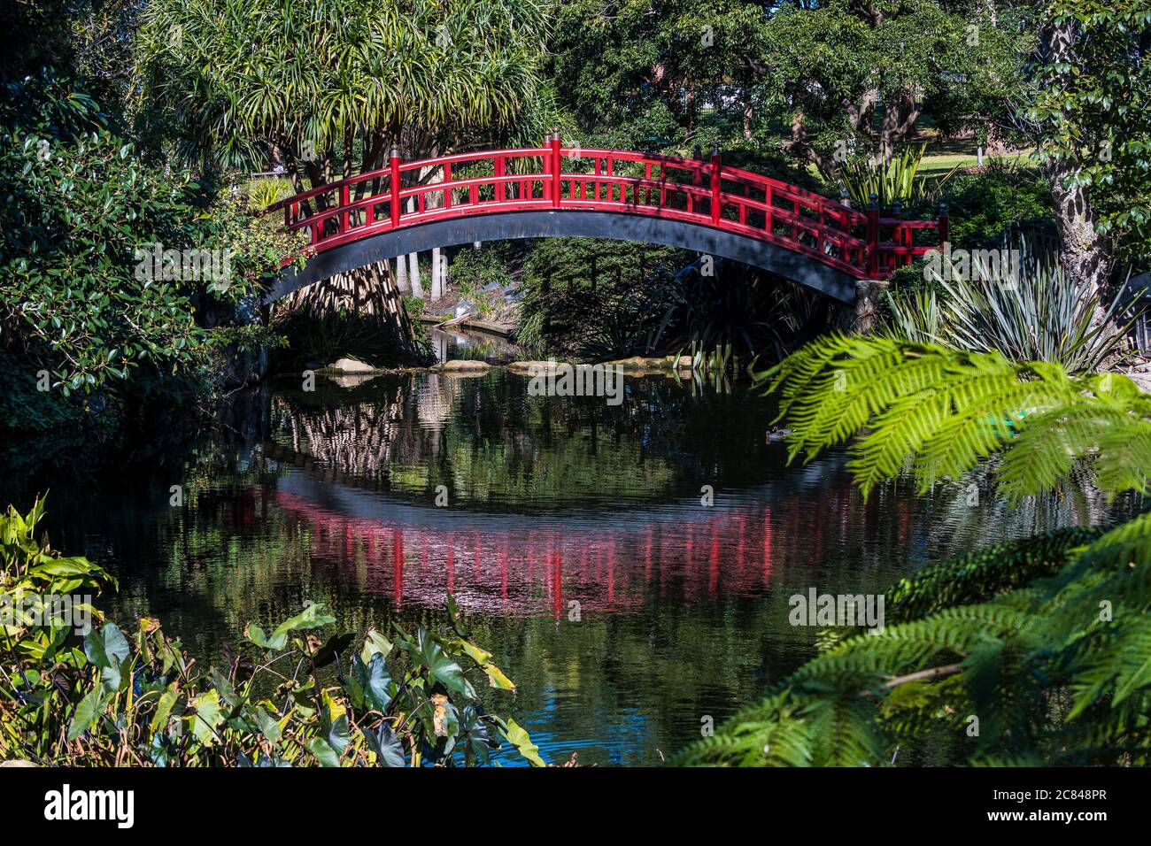 Kawasaki Bridge Wollongong Botanic Gardens Foto Stock