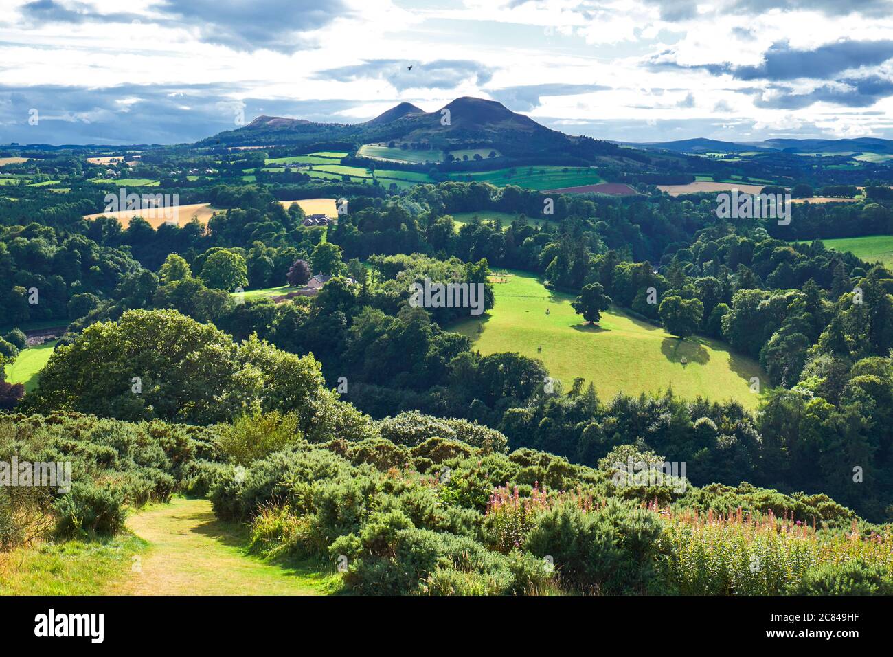 vista panoramica conosciuta come "Scott's View" a Bemersyde Hill, frontiere scozzesi Foto Stock