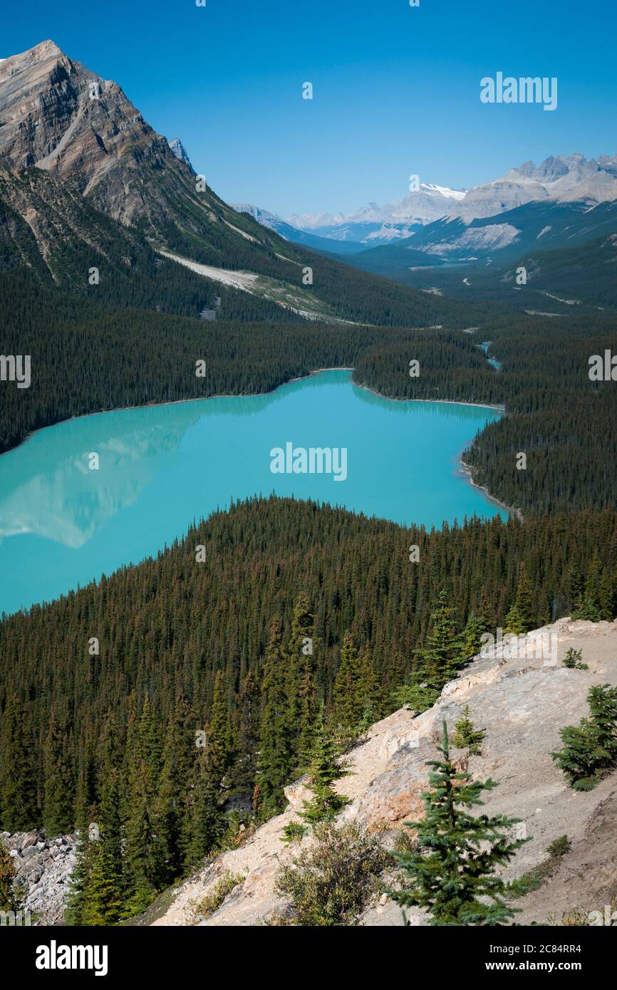 Lago Peyto, Alberta, Canada. Foto Stock