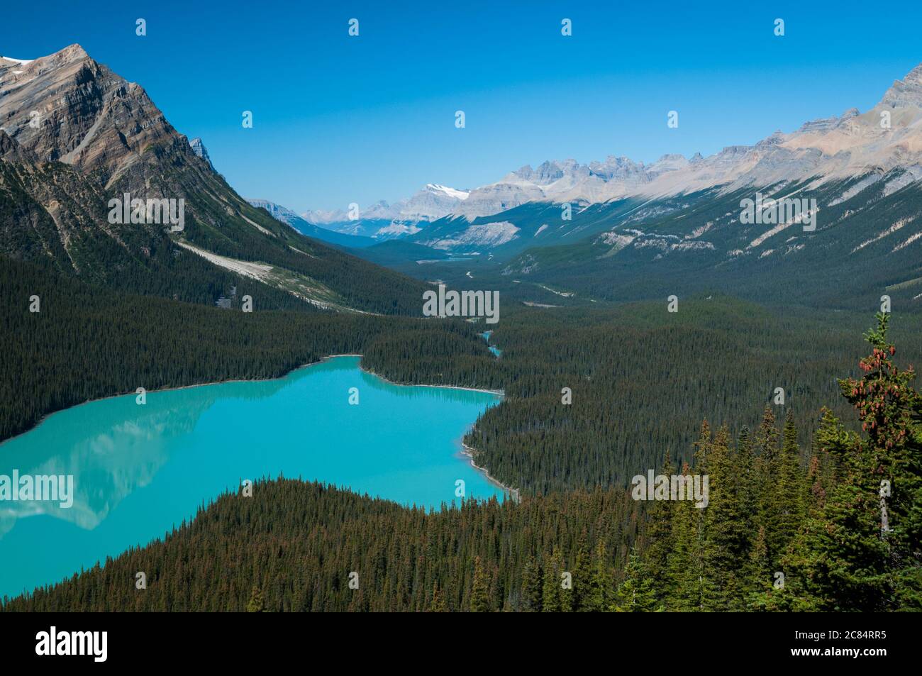 Lago Peyto, Alberta, Canada. Foto Stock
