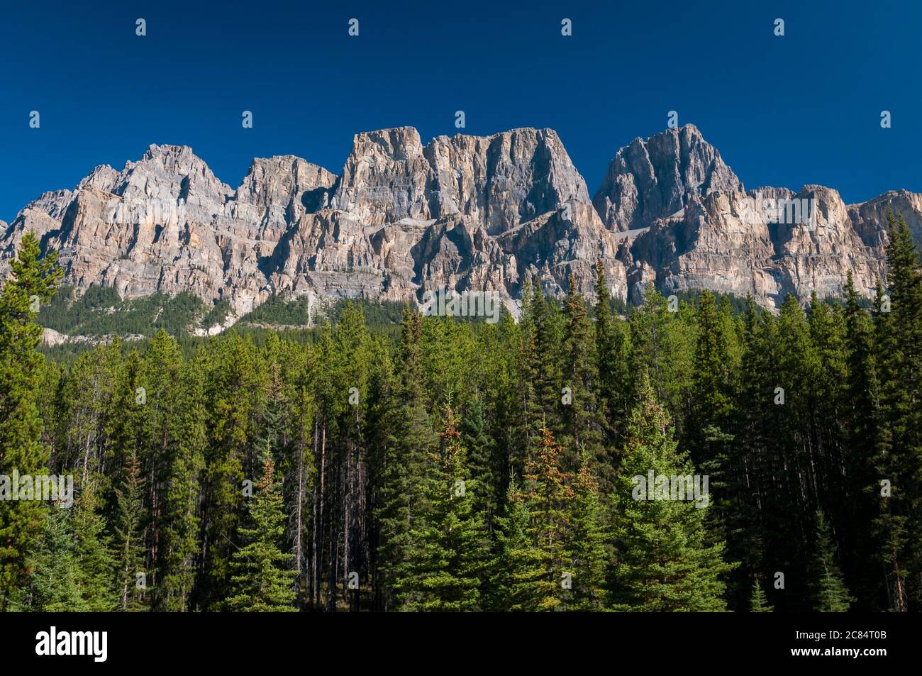 Castle Mountain, Alberta, Canada. Foto Stock