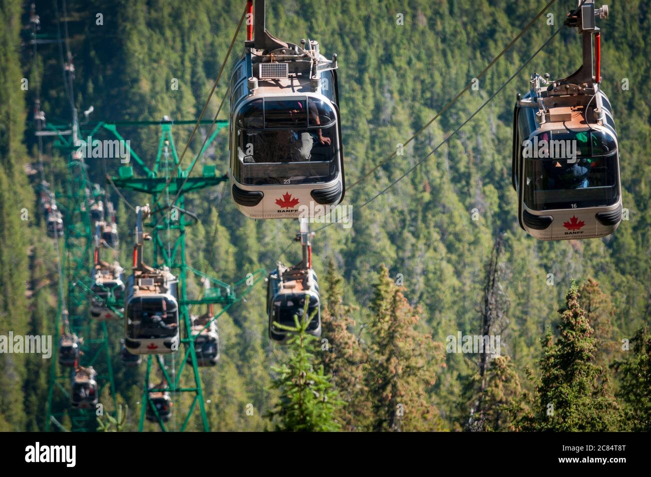 La funivia Sulphur Mountain, Banff, Alberta, Canada. Foto Stock