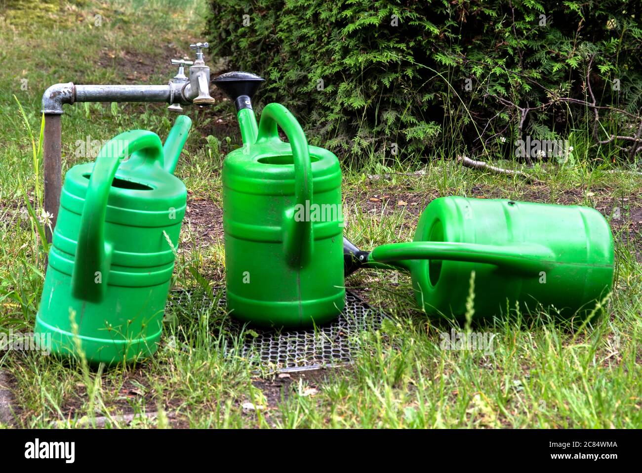 Tre lattine verdi di irrigazione si levano in piedi e si trovano accanto al rubinetto nell'erba Foto Stock