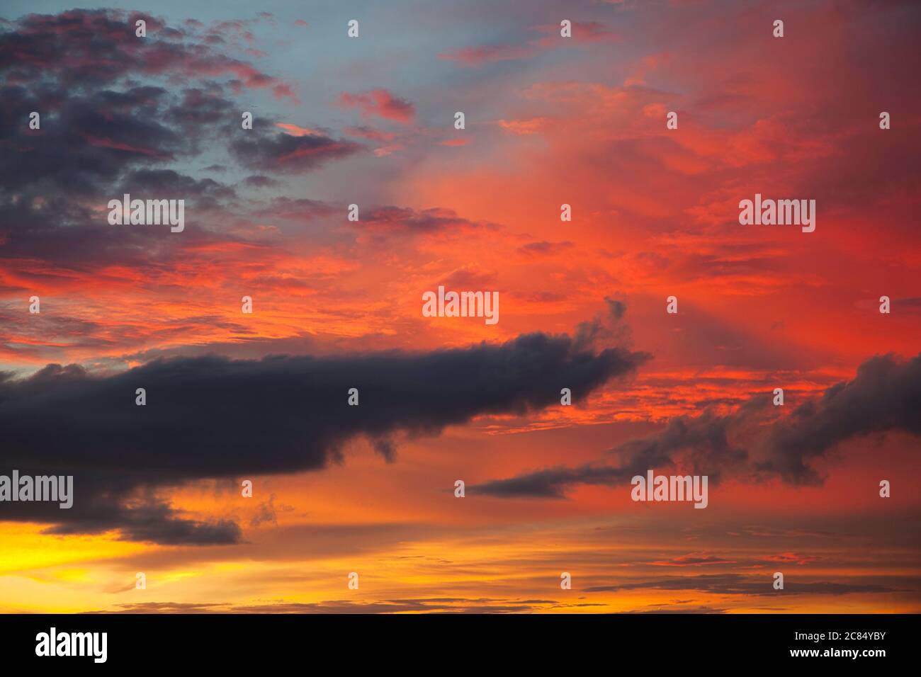 Le nuvole molto colorate cremisi a colori al tramonto prese a Manaus, Amazonas state, Brasile Foto Stock