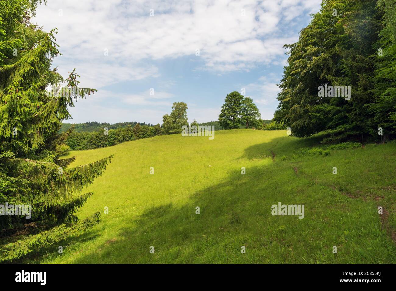 Prato con alberi intorno, collina sullo sfondo e cielo blu con le nuvole in Bile Karpaty montagne nella repubblica Ceca Foto Stock