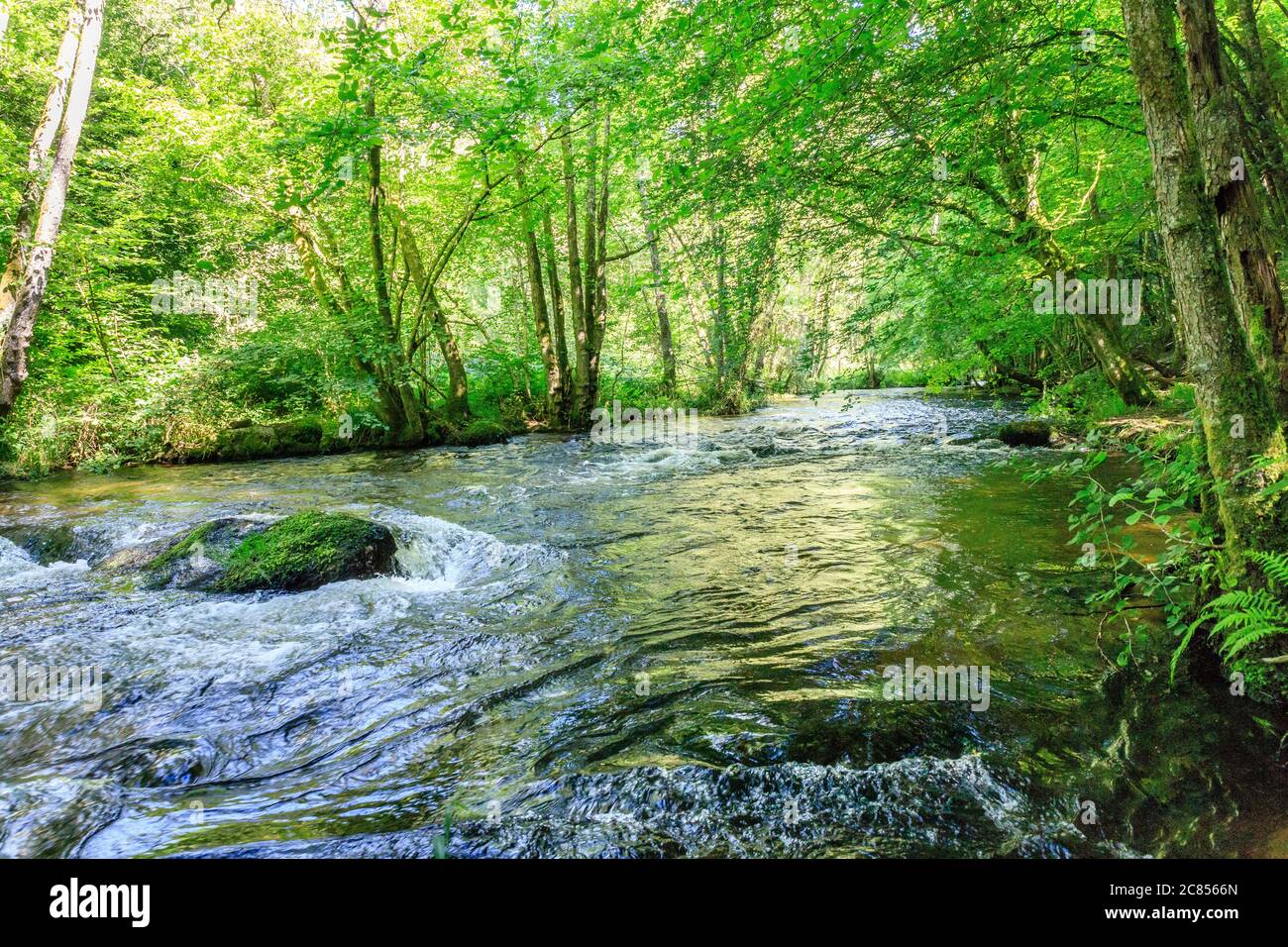 Francia, Nievre, Parco Naturale Regionale di Morvan, Chalaux, fiume le Chalaux // Francia, Nièvre (58), Parc naturel régional du Morvan, Chalaux, rivière L Foto Stock