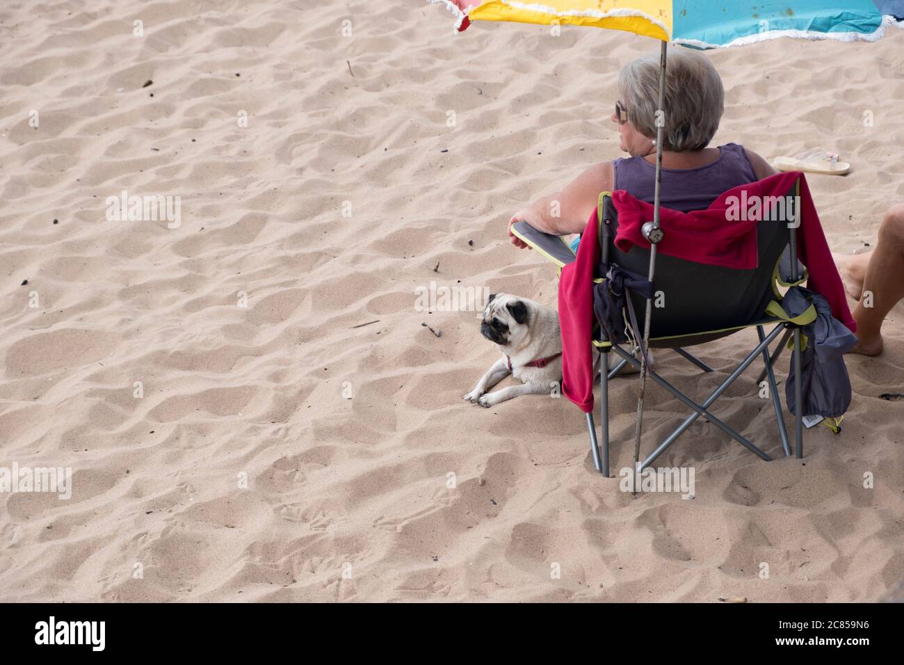 Una vecchia donna su una spiaggia di sabbia sotto ombrello con il suo cane. Foto Stock