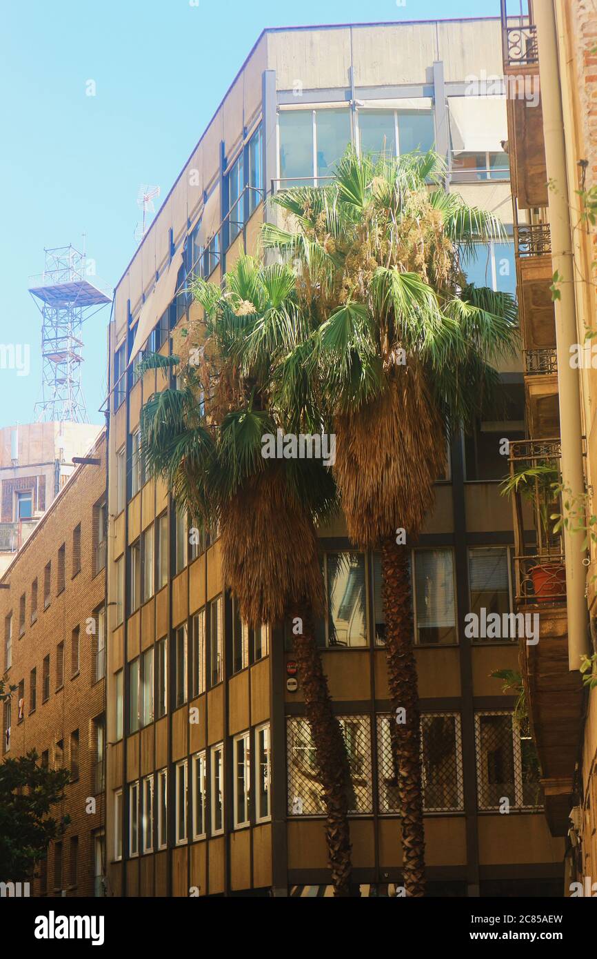 Una casa arancione con palme a Barcellona, Spagna. Foto Stock