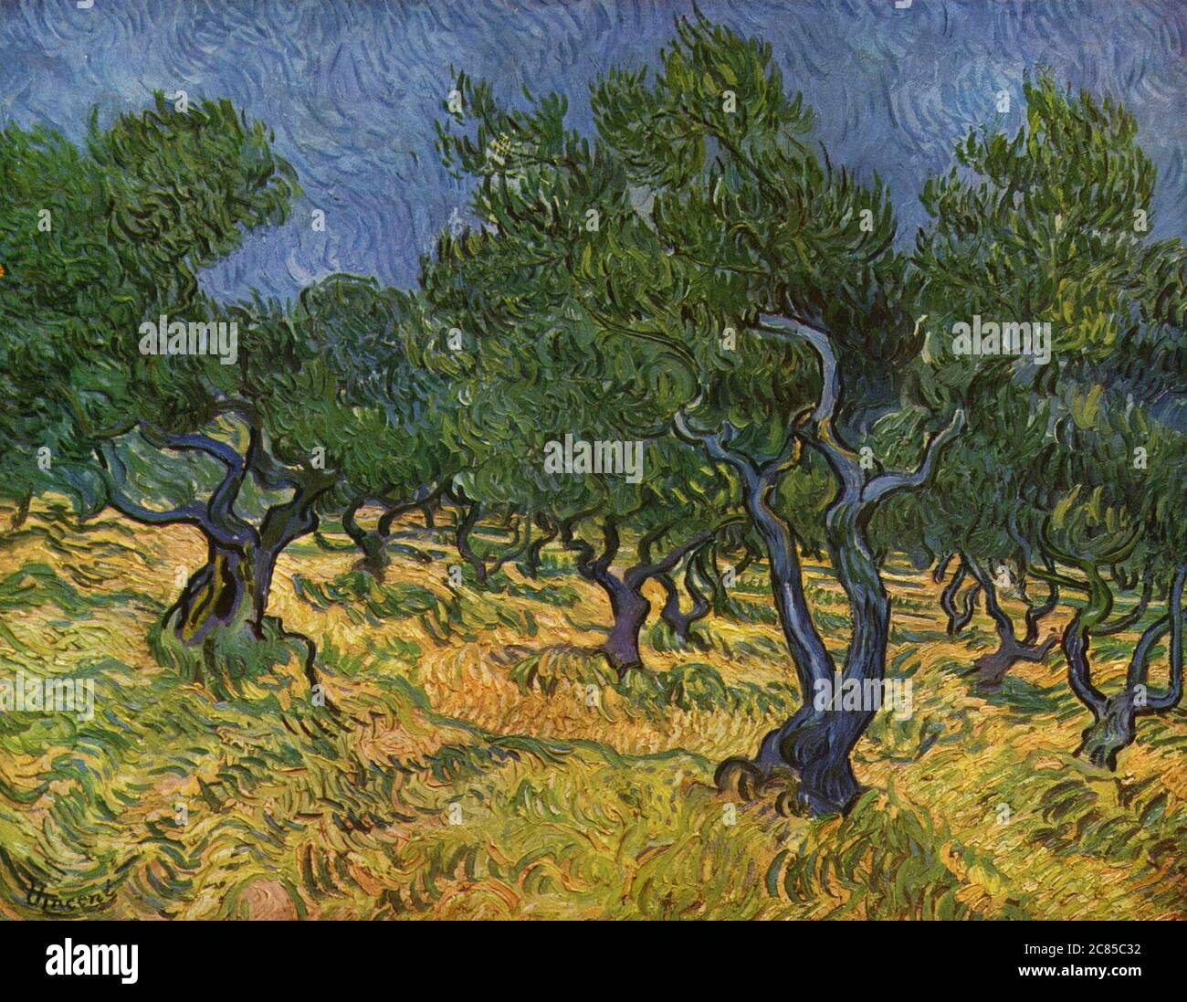 Gli olivi (serie) di Vincent Van Gogh 1889. Il Museo Kroller-Muller di Otterlo, Paesi Bassi Foto Stock