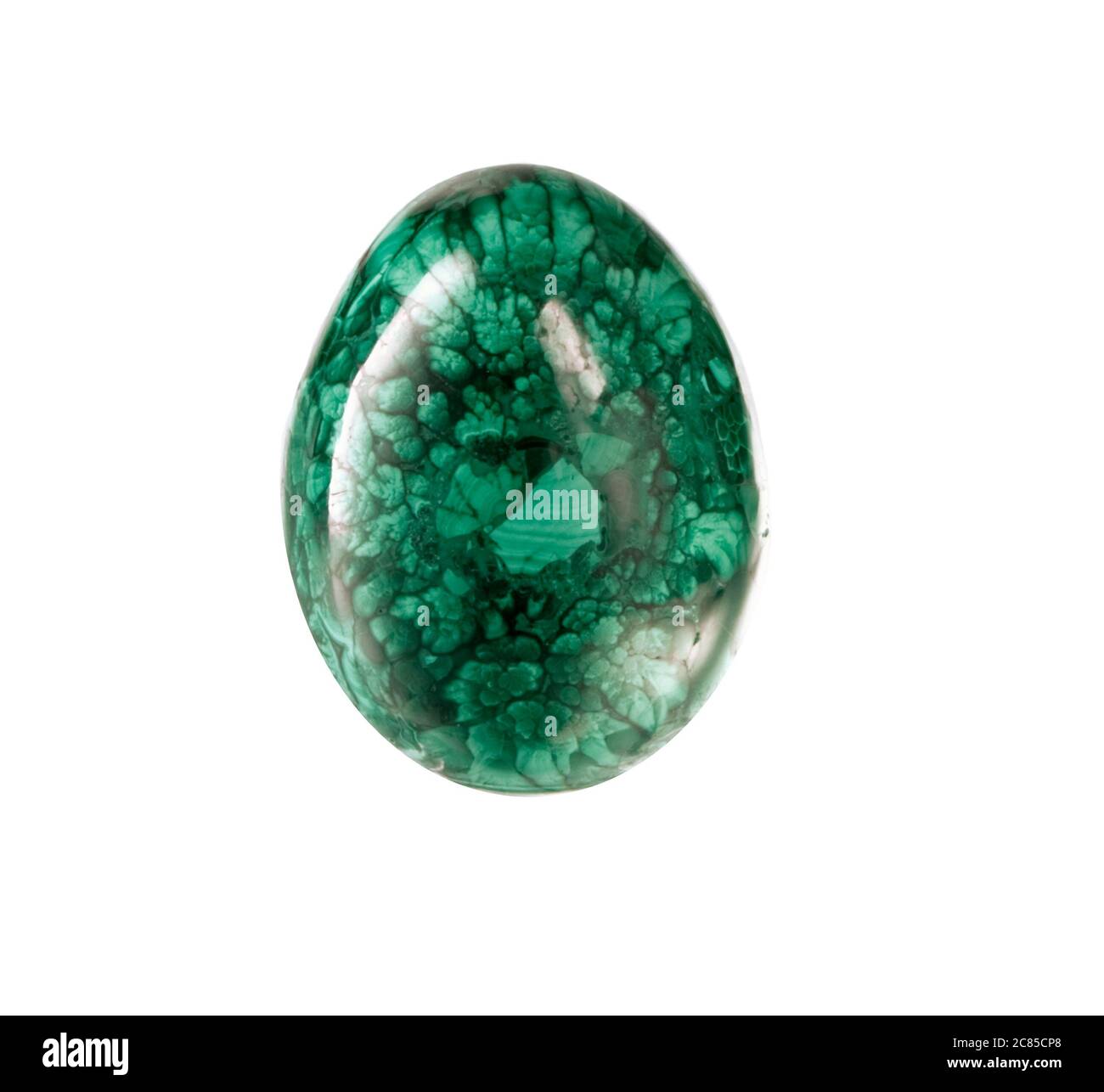 Uovo di malachite su sfondo bianco. Foto Stock