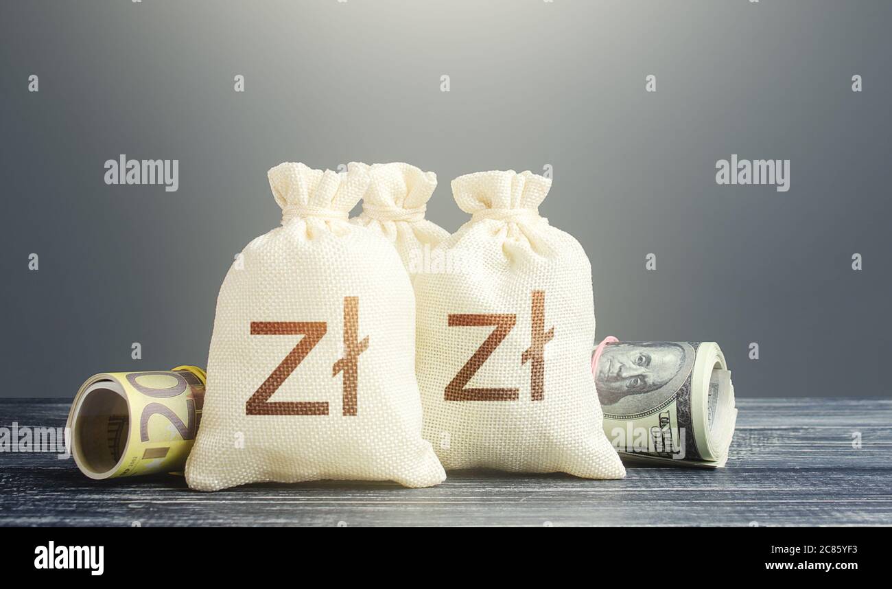 Borse di denaro e contanti polacchi zloty. Risorse finanziarie, sovvenzioni, finanziamento di progetti. Riserva nazionale di oro e di cambio. Politica monetaria economica. Foto Stock