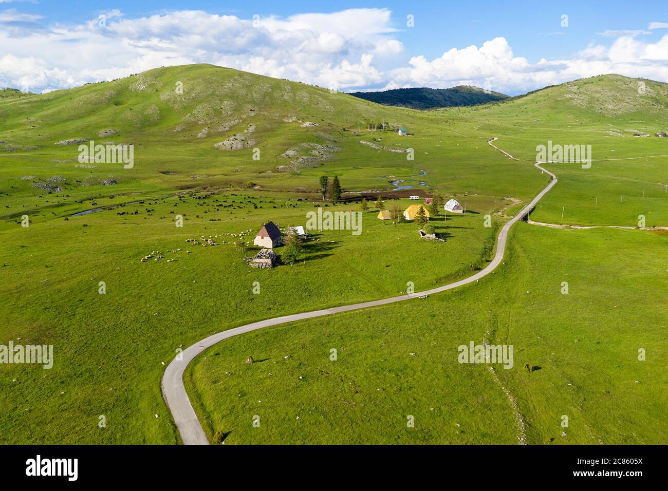 Capanne di montagna e gregge di pecore e bovini a Durmentor NP, Montenegro Foto Stock