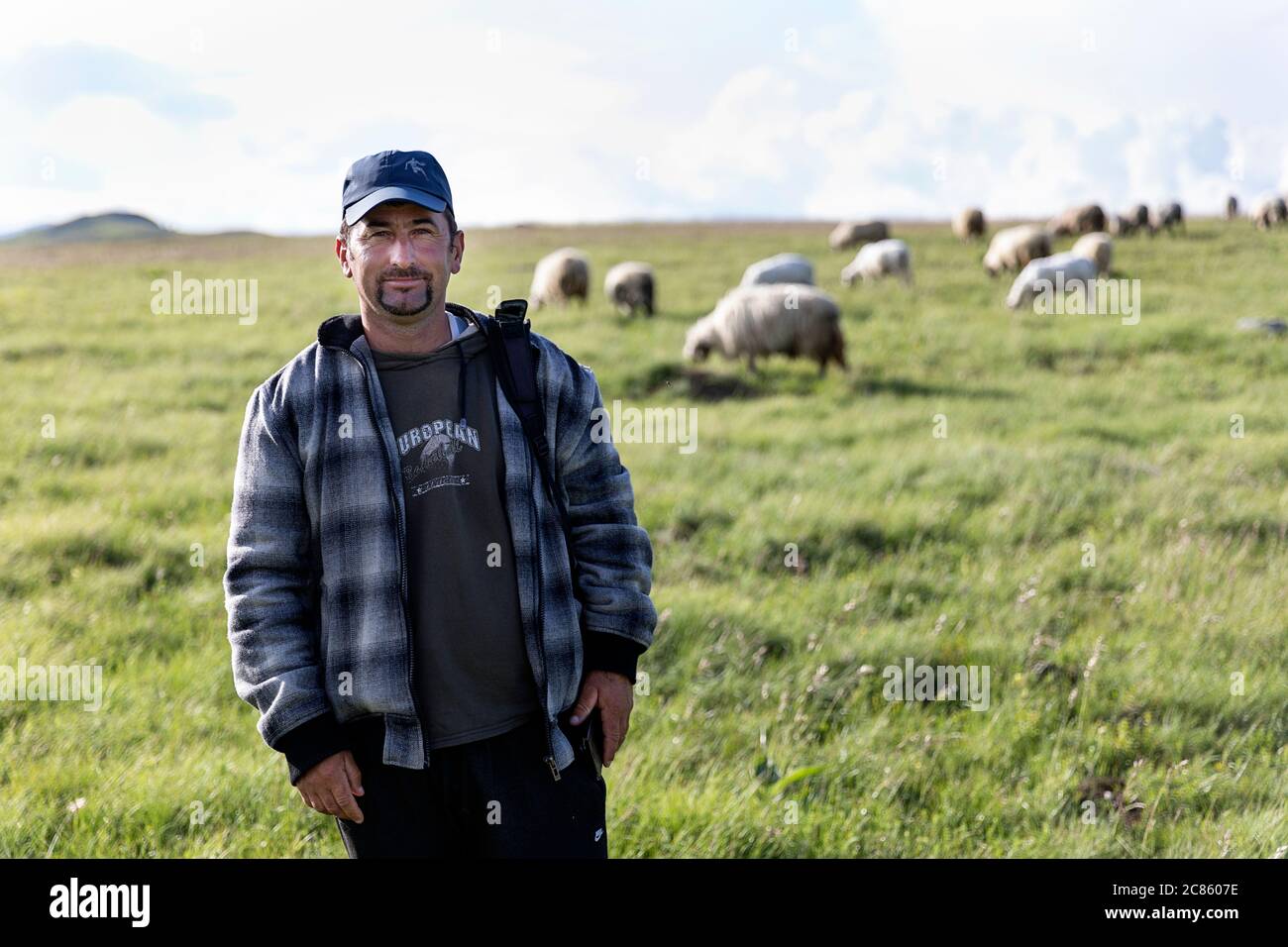 Un Pastore con le sue pecore sul pascolo, Durmentor NP, Montenegro Foto Stock
