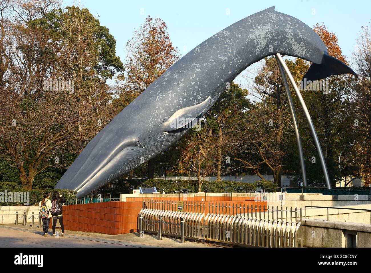 Riproduzione di balene Blu nel Parco di Ueno, Tokyo. Due donne scattano foto di Thr Blue Whale in dimensioni complete, sistemate vicino al Museo Nazionale della natura & S. Foto Stock