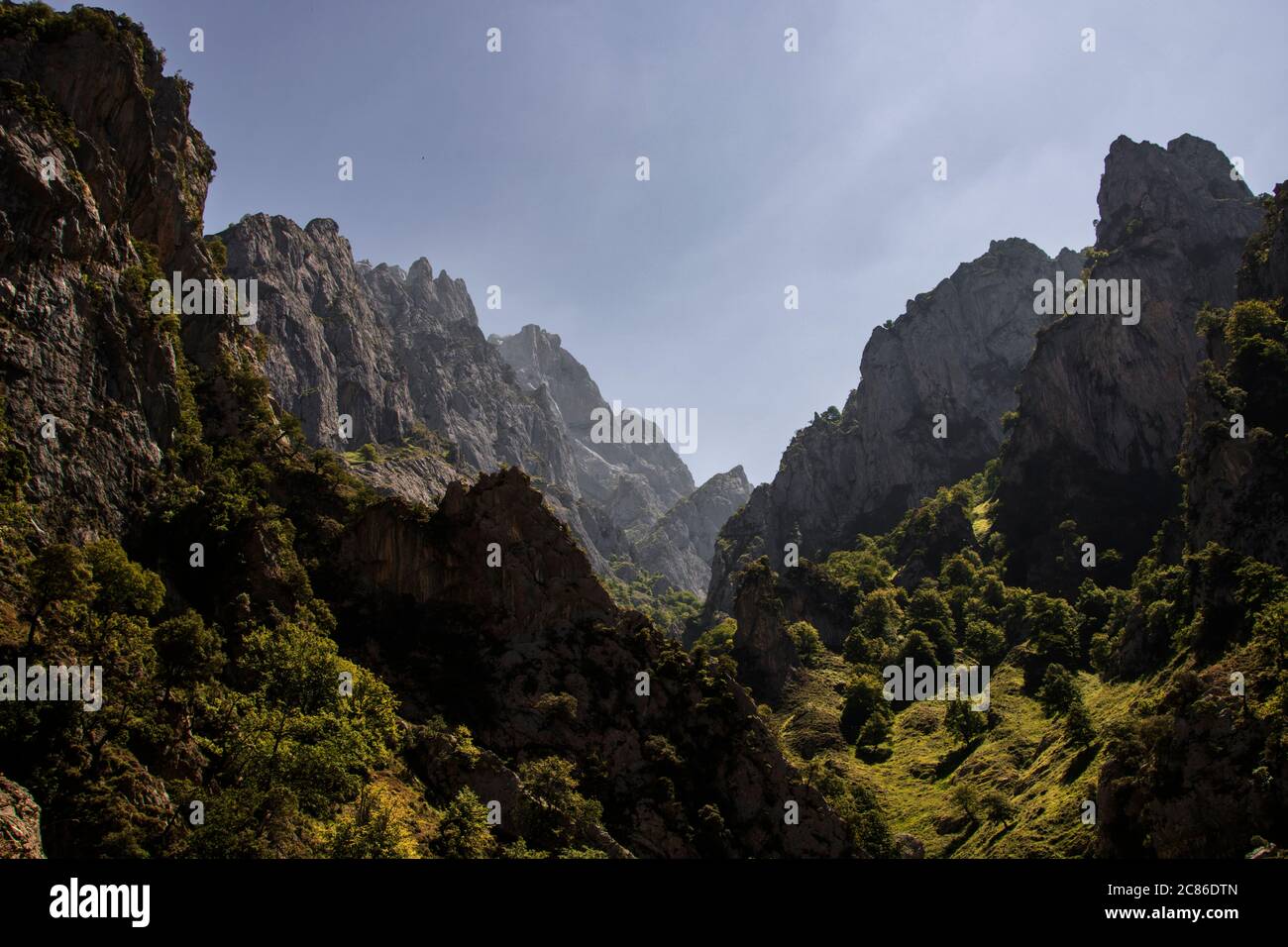 Paesaggio che mostra alcune montagne rocciose e una foresta nel canyon di Cares sotto un cielo blu a Picos de Europa in Spagna Foto Stock