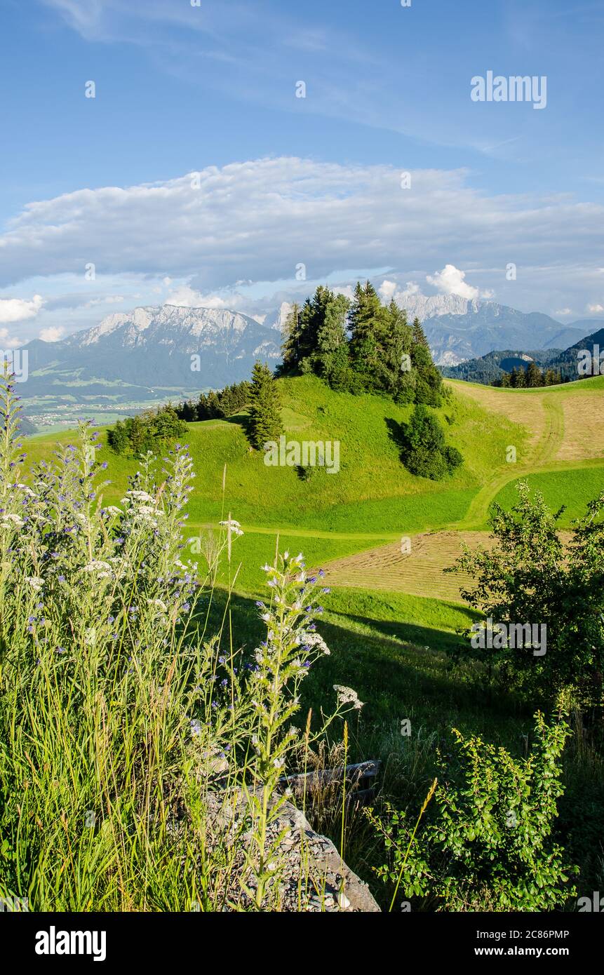 Splendida vista dal Gasthaus Bichler See alla catena montuosa Kaiser, uno dei paesaggi più belli delle Alpi calcaree settentrionali Foto Stock