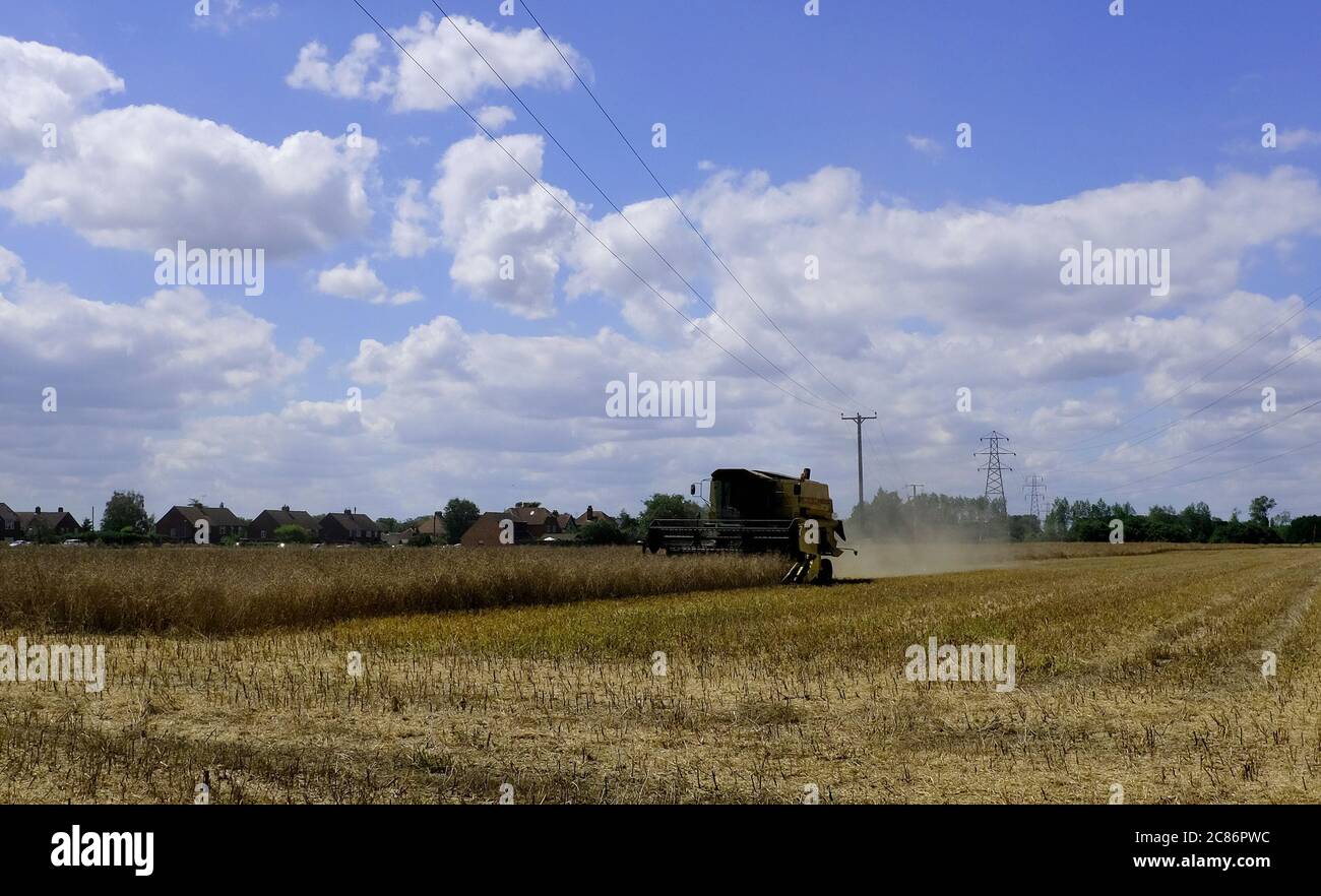 harvester veicolo raccolta fieno in hayfield sturry canterbury kent uk luglio 2020 Foto Stock