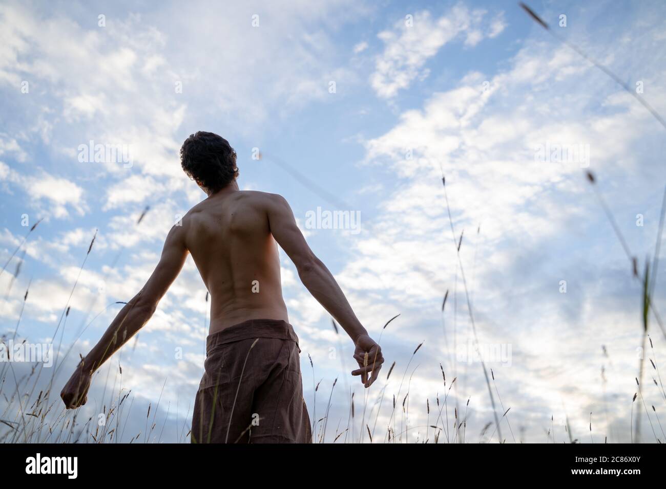 Vista posteriore ad angolo basso di un uomo senza volersi in piedi contro il cielo nuvoloso nella foresta Foto Stock